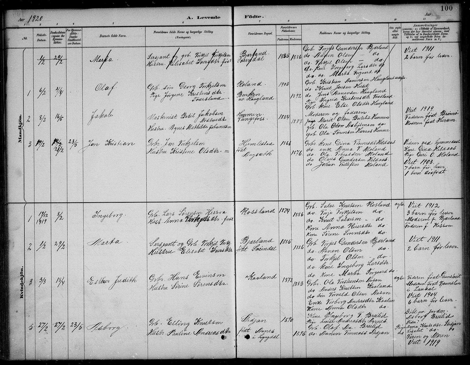 Bjelland sokneprestkontor, AV/SAK-1111-0005/F/Fb/Fba/L0005: Parish register (copy) no. B 5, 1887-1923, p. 100