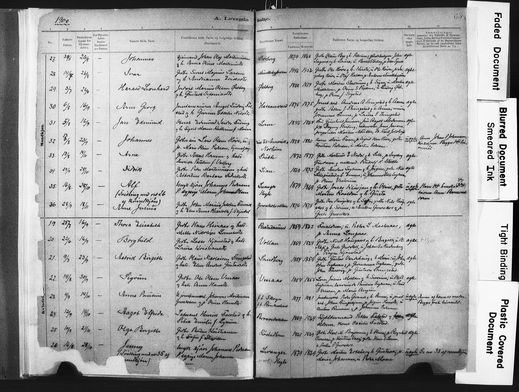 Ministerialprotokoller, klokkerbøker og fødselsregistre - Nord-Trøndelag, SAT/A-1458/721/L0207: Parish register (official) no. 721A02, 1880-1911, p. 65