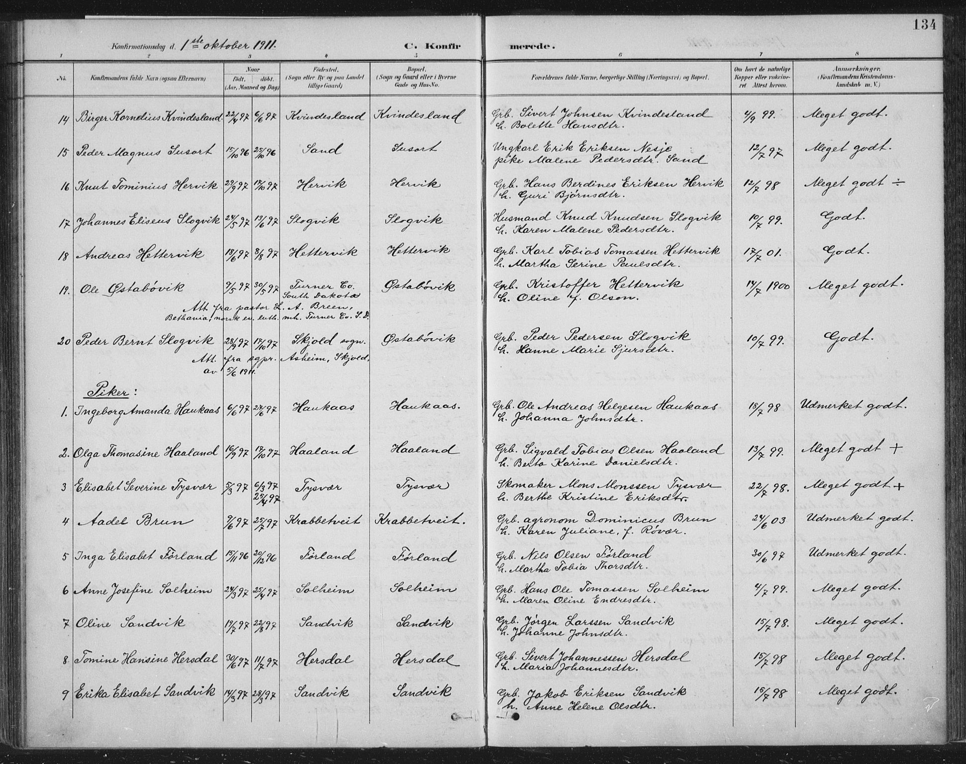 Tysvær sokneprestkontor, AV/SAST-A -101864/H/Ha/Haa/L0008: Parish register (official) no. A 8, 1897-1918, p. 134