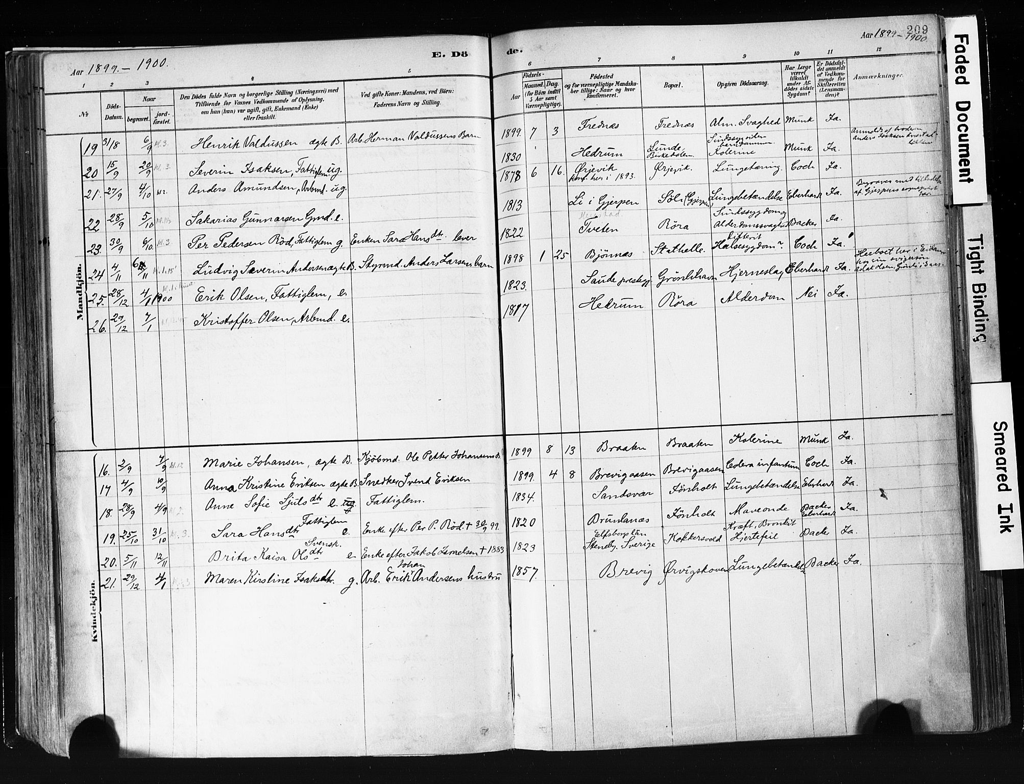 Eidanger kirkebøker, AV/SAKO-A-261/F/Fa/L0012: Parish register (official) no. 12, 1879-1900, p. 209