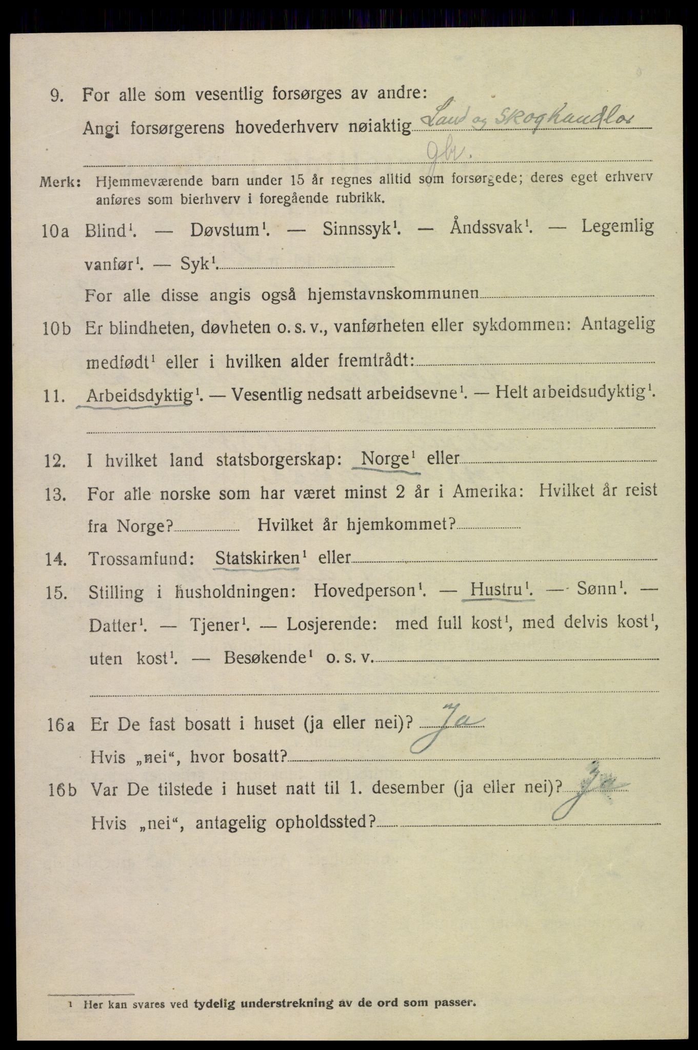 SAK, 1920 census for Valle, 1920, p. 1156
