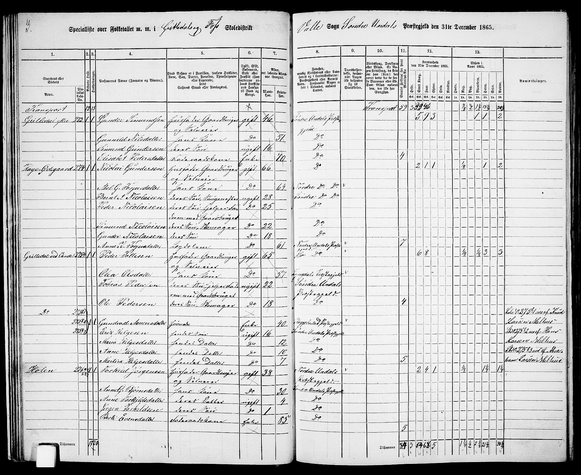 RA, 1865 census for Sør-Audnedal, 1865, p. 29