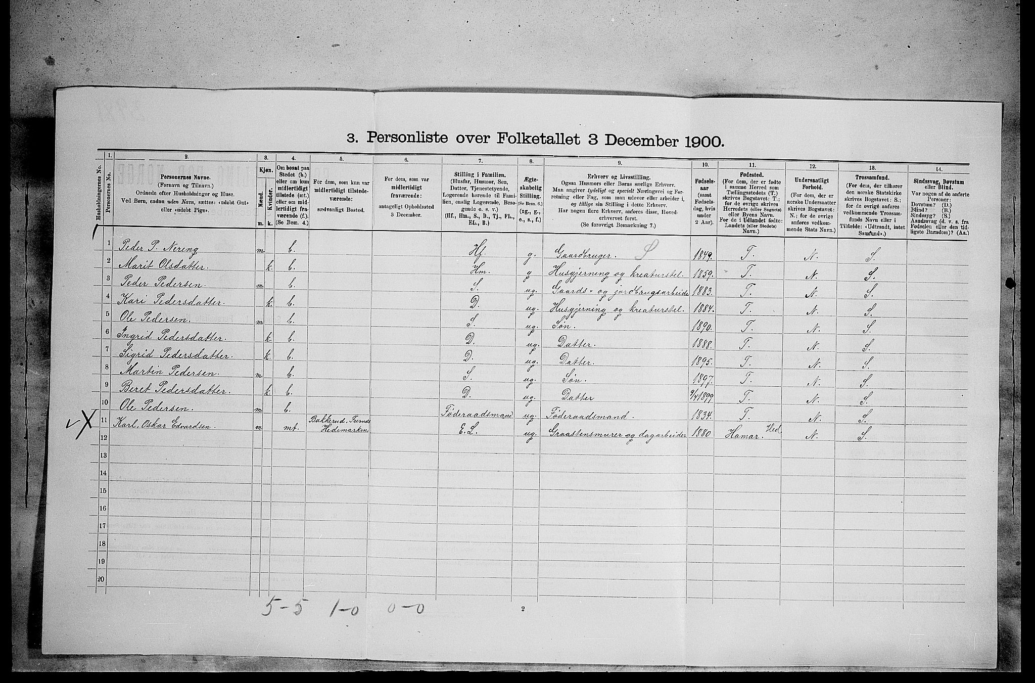 SAH, 1900 census for Tynset, 1900, p. 676