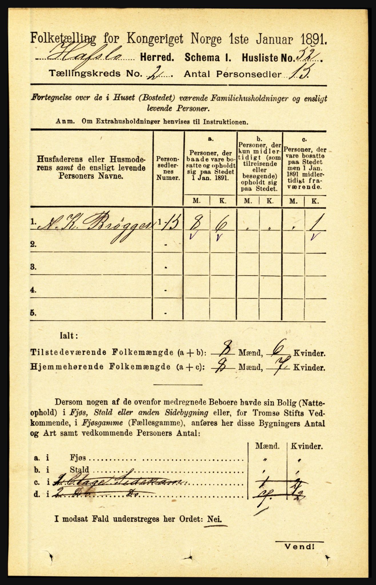 RA, 1891 census for 1425 Hafslo, 1891, p. 529