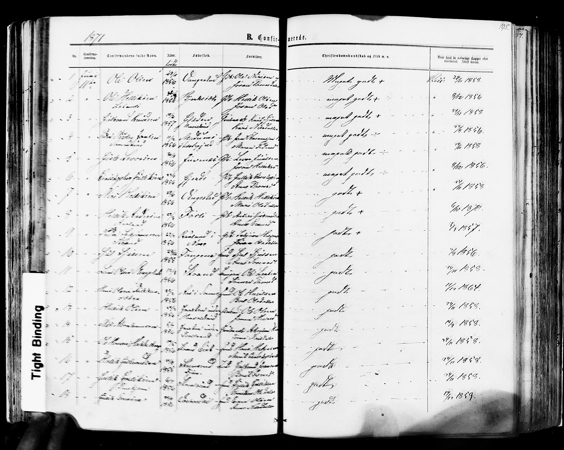 Flesberg kirkebøker, SAKO/A-18/F/Fa/L0007: Parish register (official) no. I 7, 1861-1878, p. 195