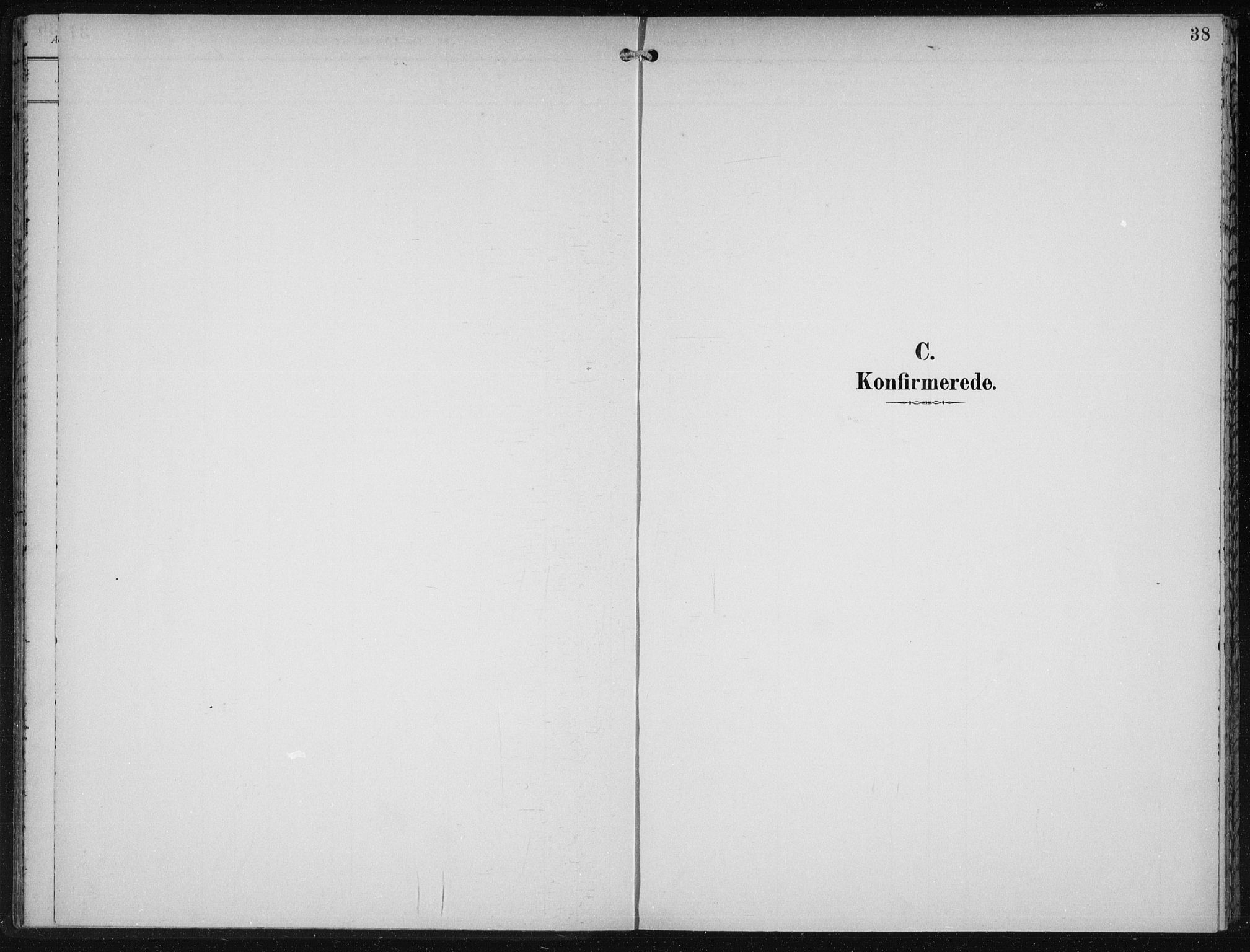 Den norske sjømannsmisjon i utlandet/New York, SAB/SAB/PA-0110/H/Ha/L0004: Parish register (official) no. A 4, 1893-1901, p. 38