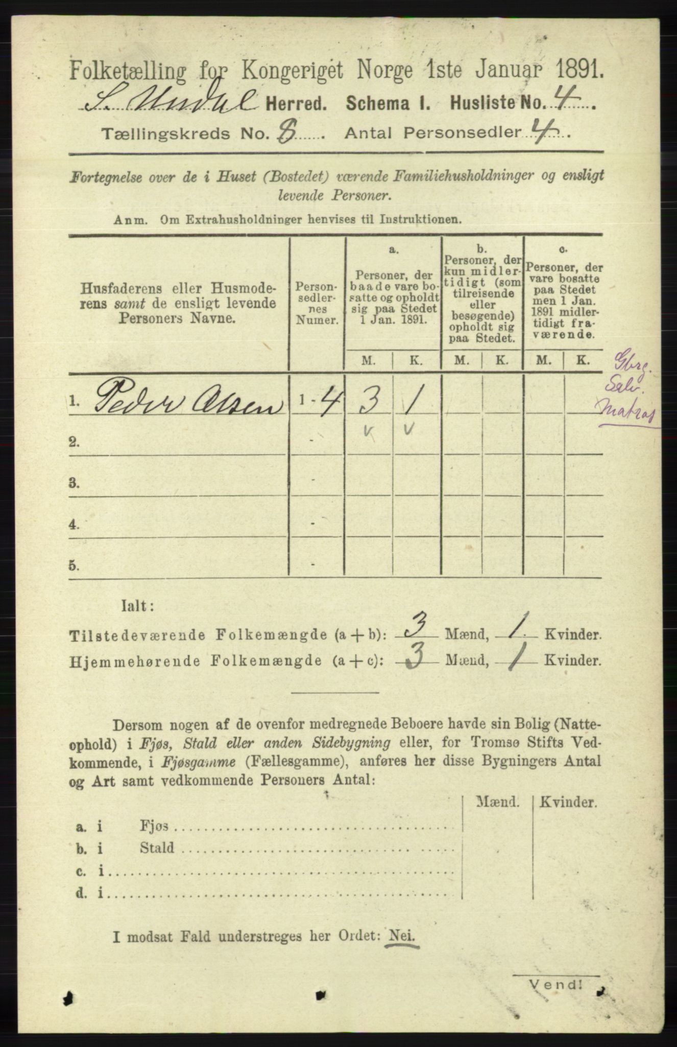 RA, 1891 census for 1029 Sør-Audnedal, 1891, p. 2972