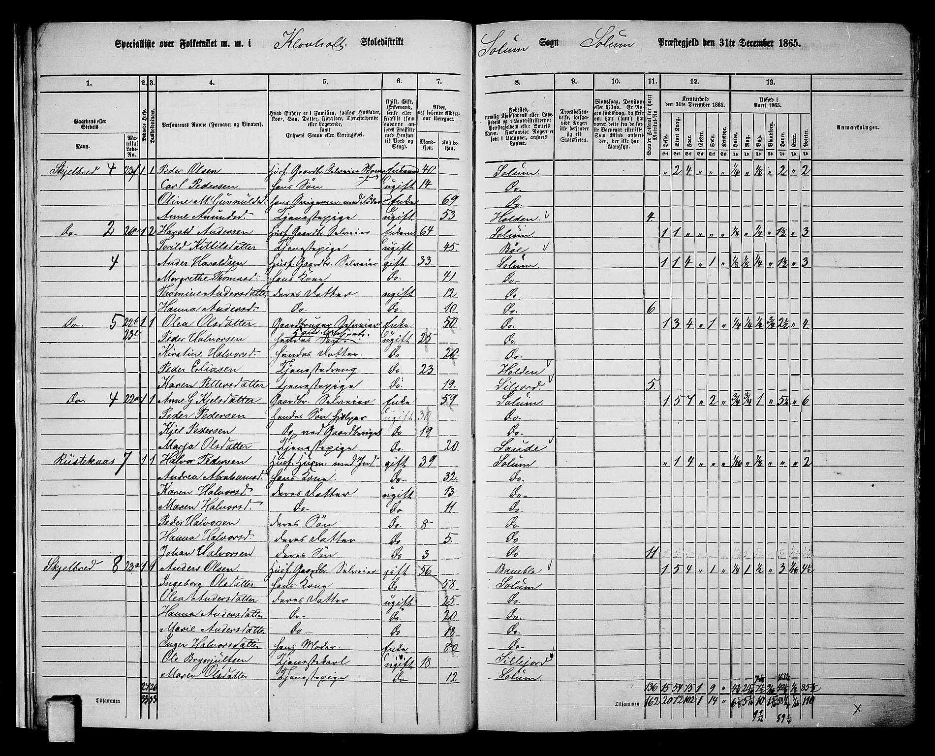 RA, 1865 census for Solum, 1865, p. 21