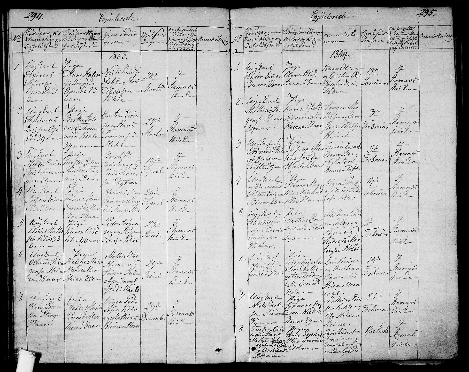 Ramnes kirkebøker, SAKO/A-314/G/Ga/L0002: Parish register (copy) no. I 2, 1848-1870, p. 294-295