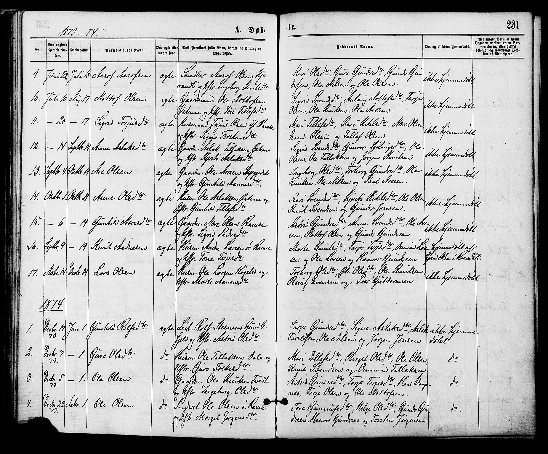 Åmli sokneprestkontor, AV/SAK-1111-0050/F/Fa/Fac/L0009: Parish register (official) no. A 9 /3, 1869-1884, p. 231