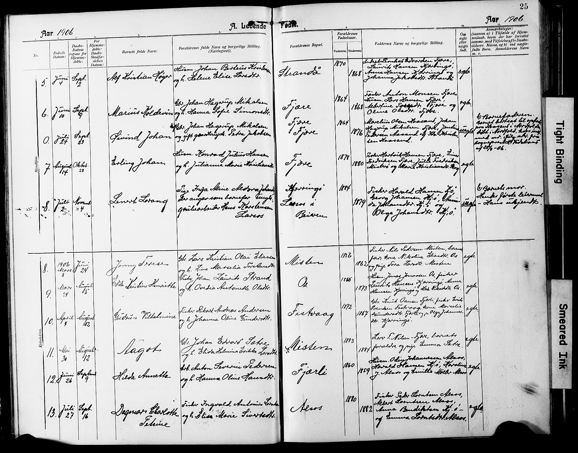 Ministerialprotokoller, klokkerbøker og fødselsregistre - Nordland, SAT/A-1459/803/L0077: Parish register (copy) no. 803C04, 1897-1930, p. 25