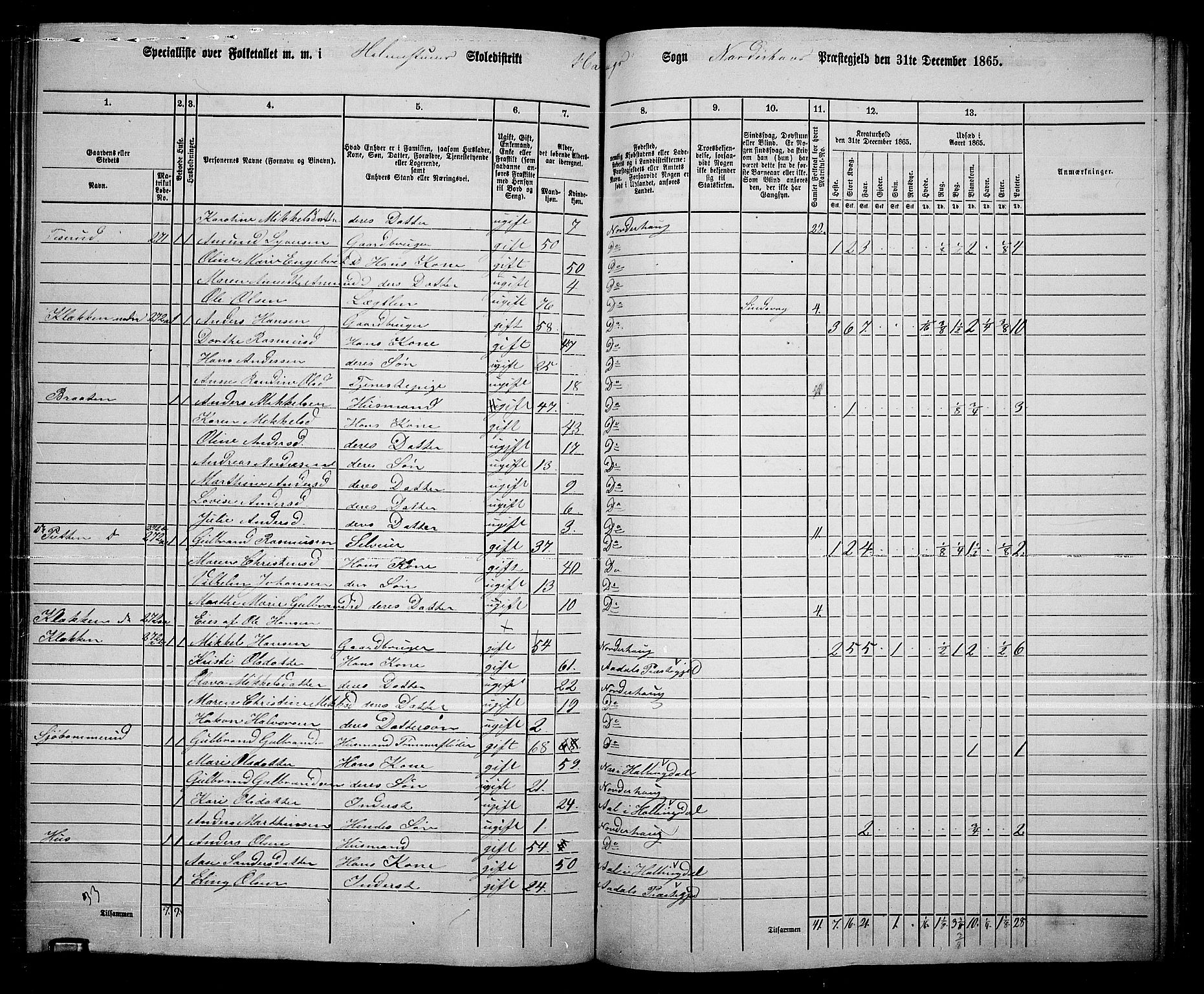 RA, 1865 census for Norderhov/Norderhov, Haug og Lunder, 1865, p. 219