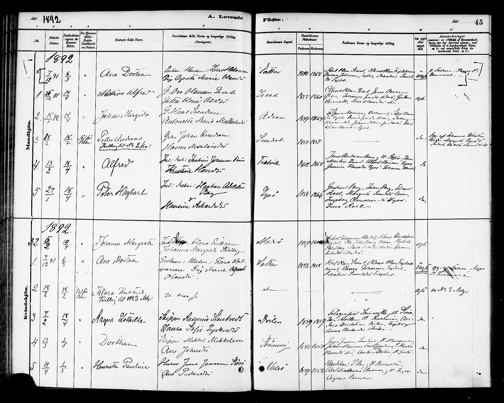 Ministerialprotokoller, klokkerbøker og fødselsregistre - Sør-Trøndelag, SAT/A-1456/654/L0663: Parish register (official) no. 654A01, 1880-1894, p. 45