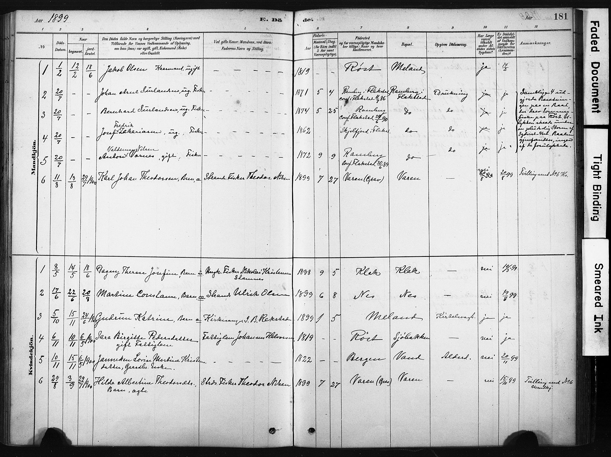 Ministerialprotokoller, klokkerbøker og fødselsregistre - Nordland, AV/SAT-A-1459/808/L0128: Parish register (official) no. 808A01, 1880-1902, p. 181