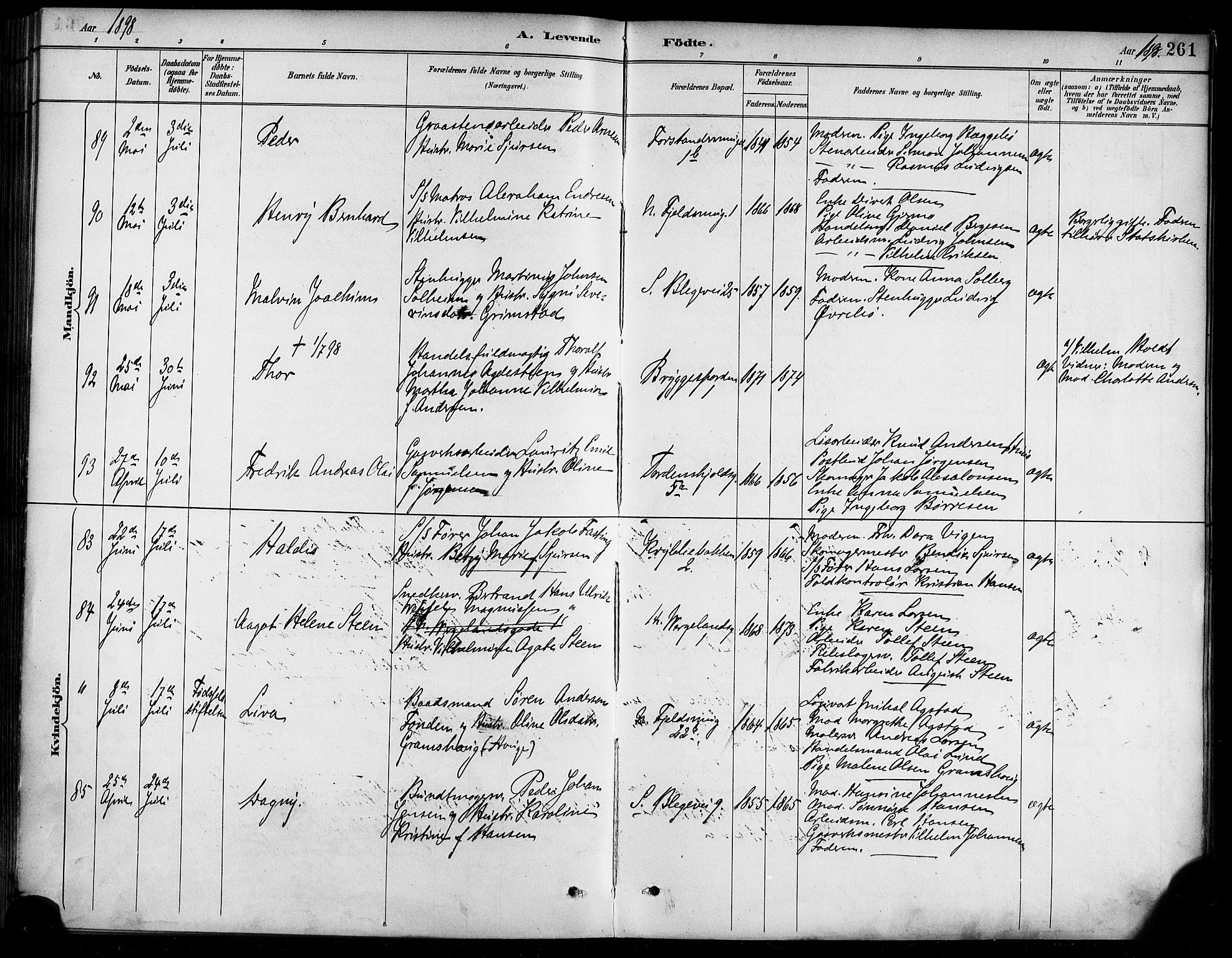 Korskirken sokneprestembete, SAB/A-76101/H/Haa/L0022: Parish register (official) no. B 8, 1889-1899, p. 261
