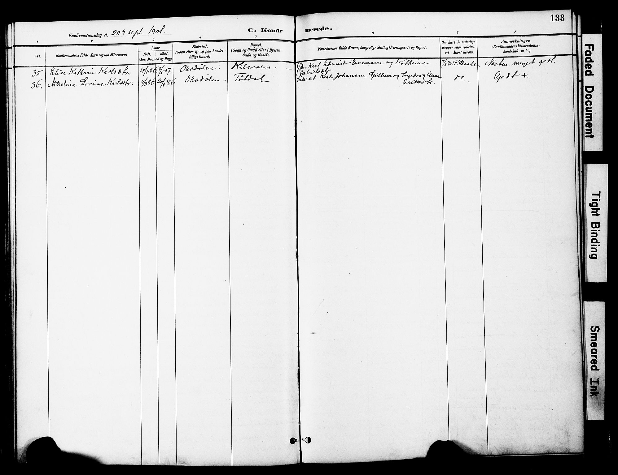 Ministerialprotokoller, klokkerbøker og fødselsregistre - Nord-Trøndelag, SAT/A-1458/774/L0628: Parish register (official) no. 774A02, 1887-1903, p. 133