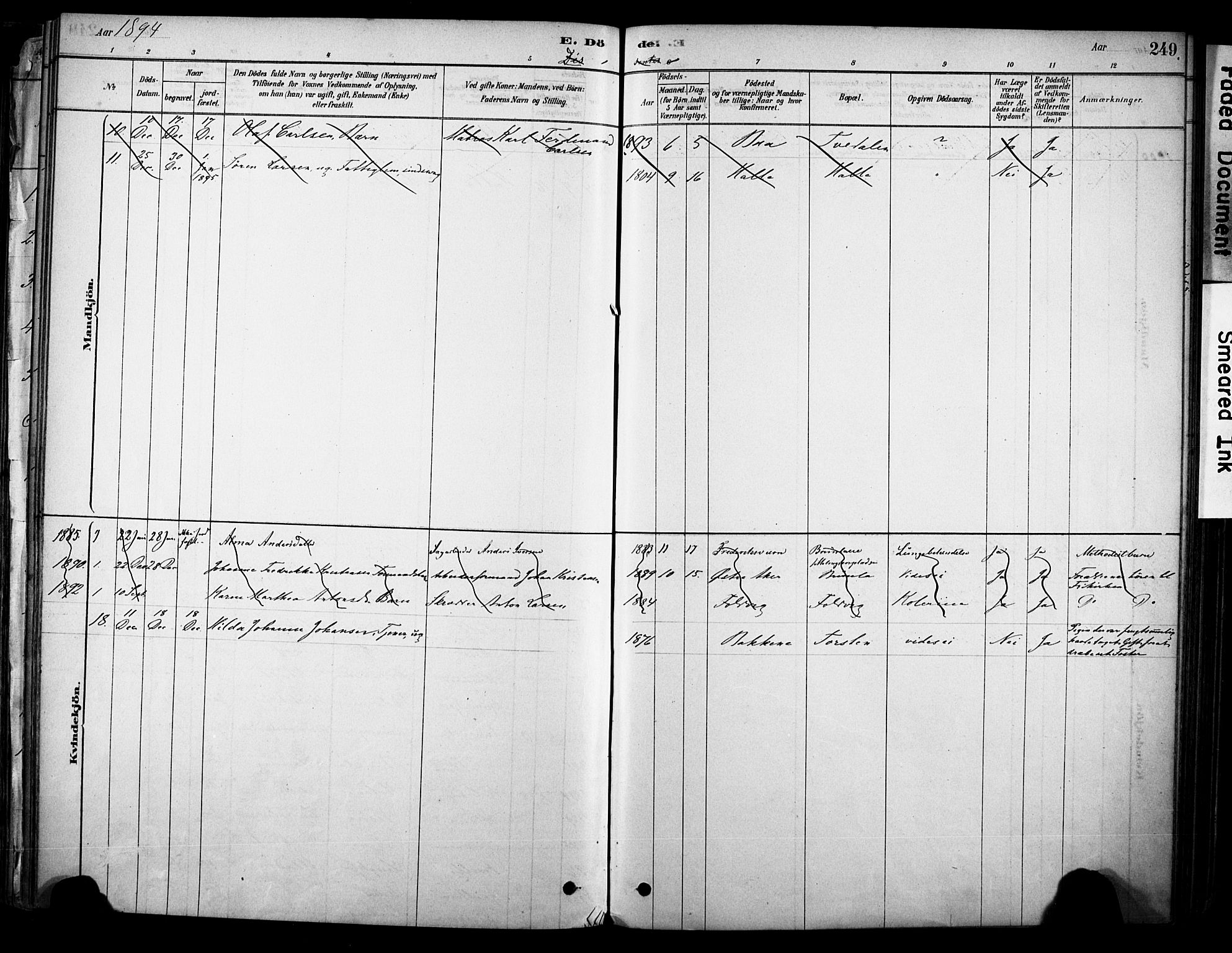 Brunlanes kirkebøker, AV/SAKO-A-342/F/Fc/L0001: Parish register (official) no. III 1, 1878-1899, p. 249