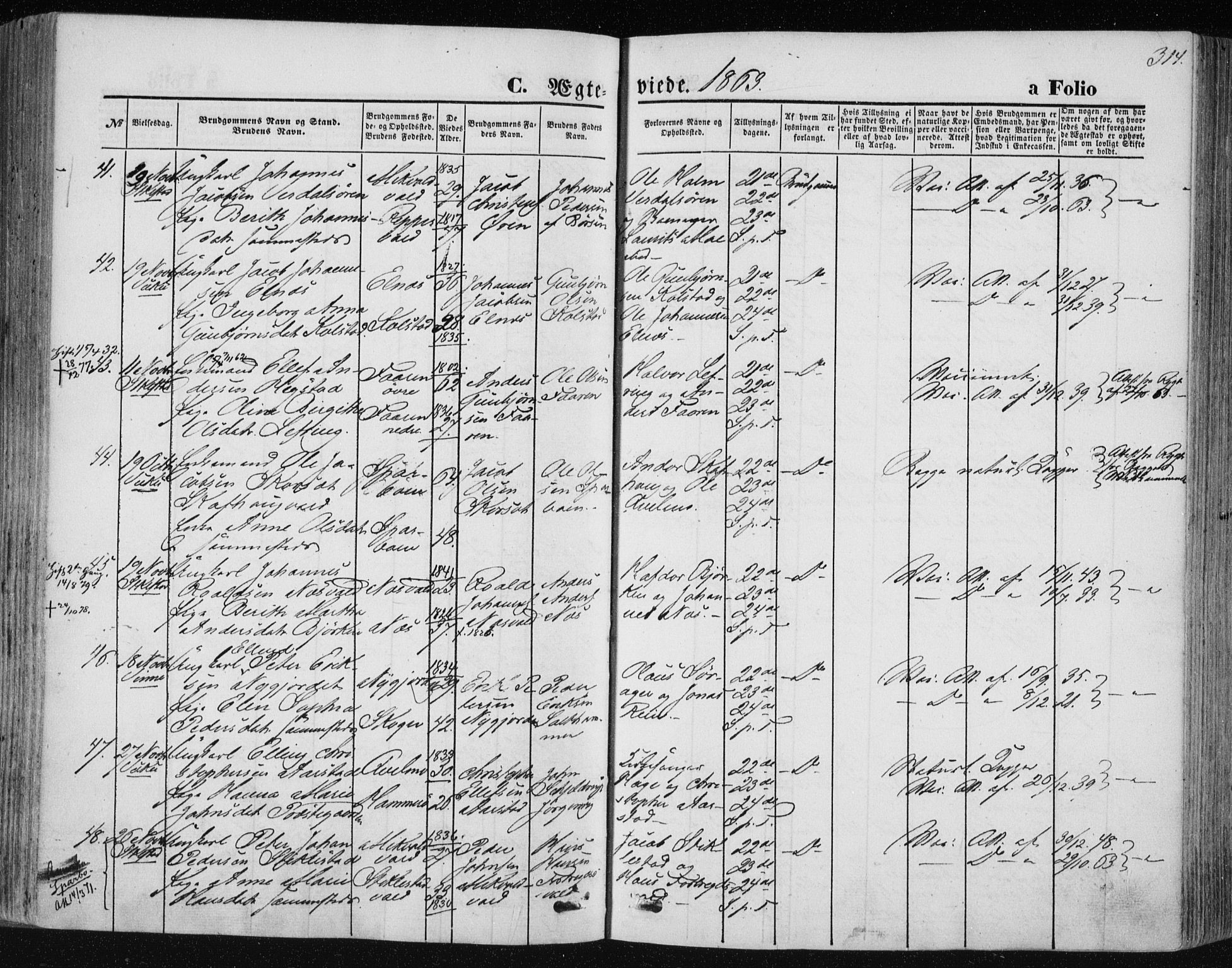 Ministerialprotokoller, klokkerbøker og fødselsregistre - Nord-Trøndelag, AV/SAT-A-1458/723/L0241: Parish register (official) no. 723A10, 1860-1869, p. 314