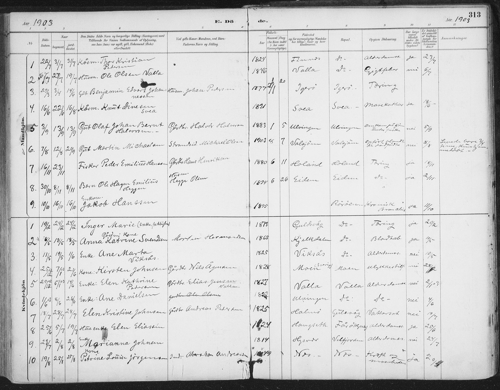 Ministerialprotokoller, klokkerbøker og fødselsregistre - Nordland, AV/SAT-A-1459/816/L0244: Parish register (official) no. 816A10, 1886-1903, p. 313