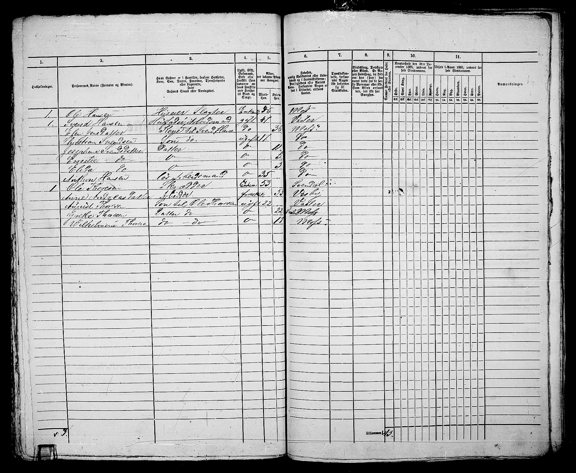 RA, 1865 census for Moss/Moss, 1865, p. 335