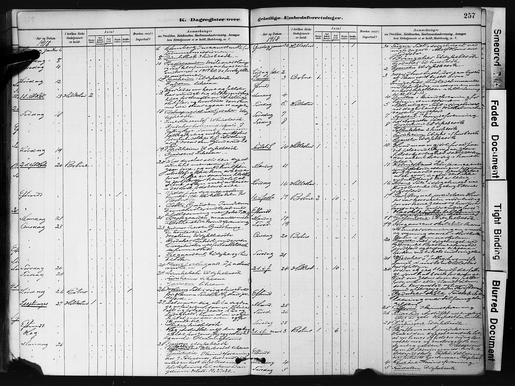 Botne kirkebøker, AV/SAKO-A-340/F/Fb/L0001: Parish register (official) no. II 1, 1878-1902, p. 257