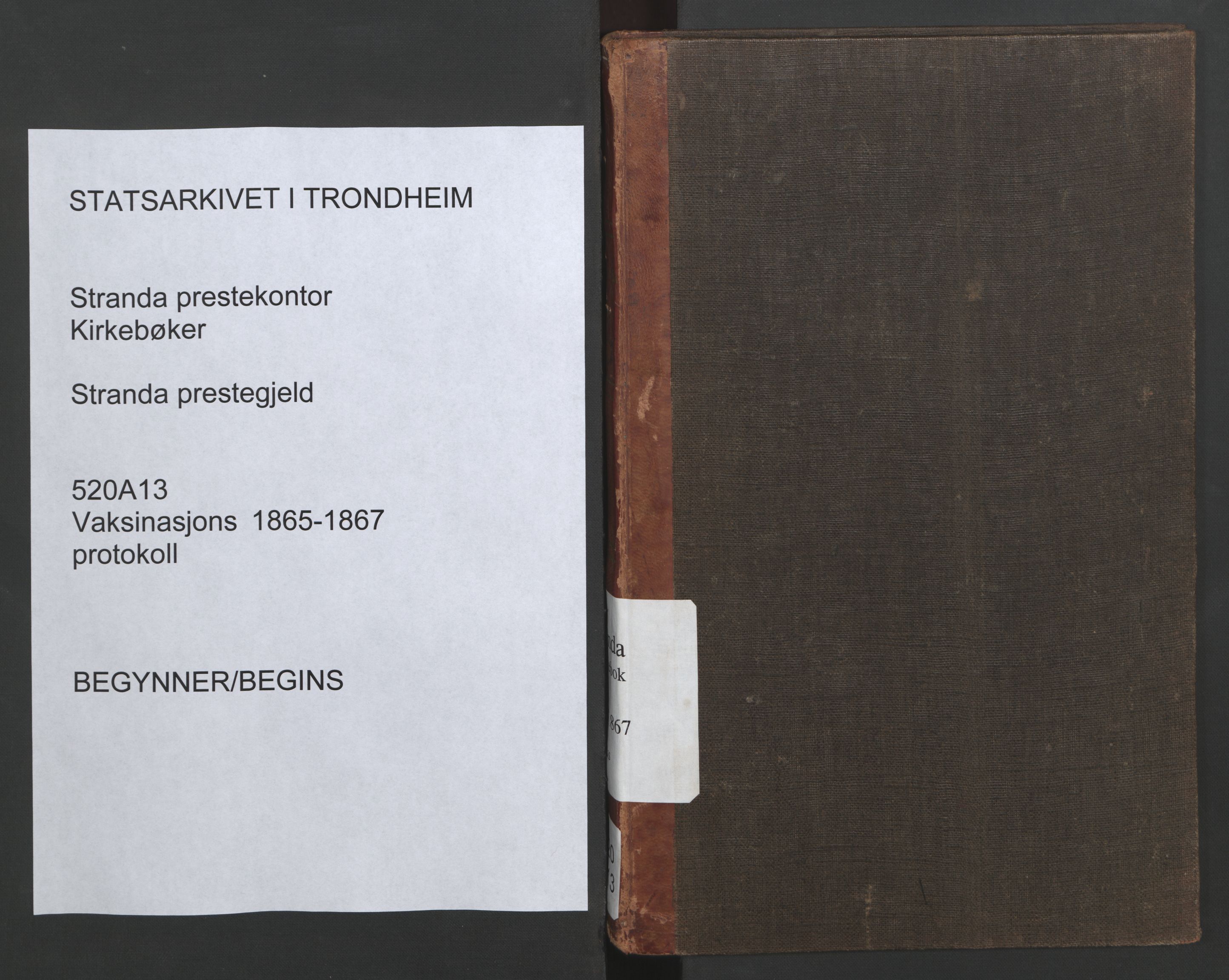 Ministerialprotokoller, klokkerbøker og fødselsregistre - Møre og Romsdal, SAT/A-1454/520/L0284: Vaccination register no. 520A13, 1865-1867