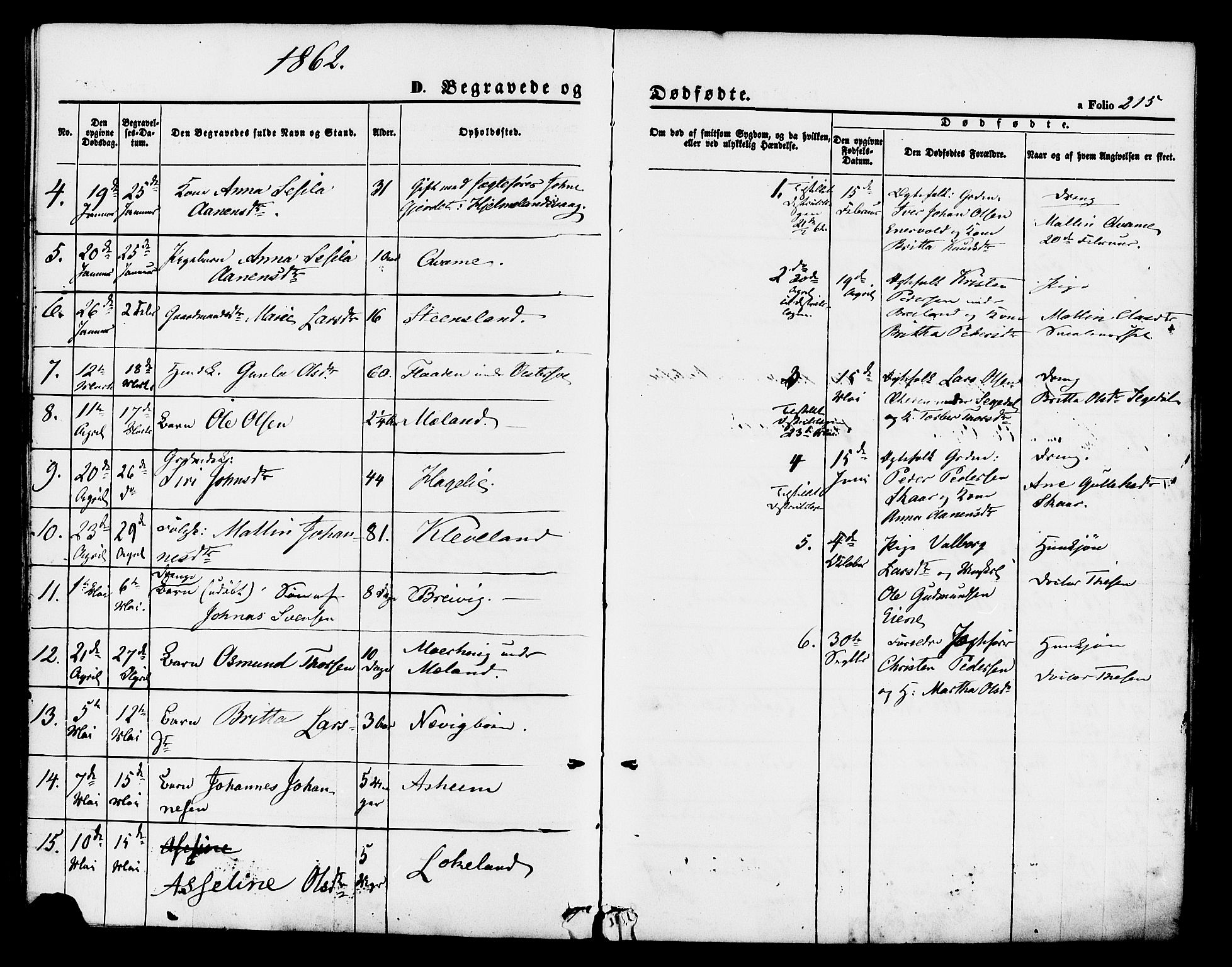 Hjelmeland sokneprestkontor, SAST/A-101843/01/IV/L0011: Parish register (official) no. A 11, 1861-1878, p. 215