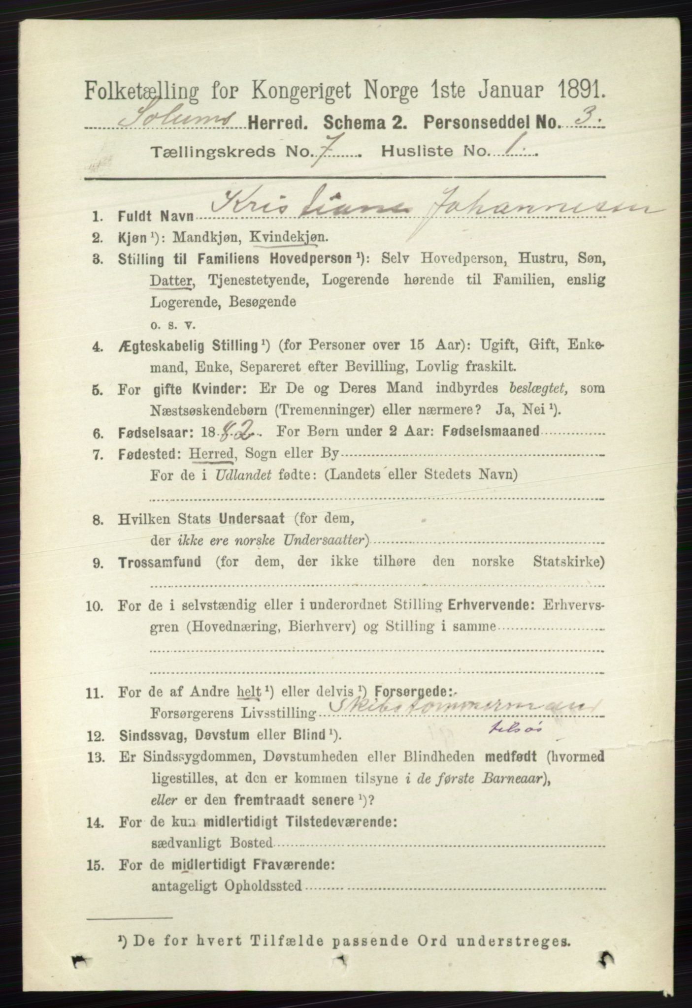 RA, 1891 census for 0818 Solum, 1891, p. 2715