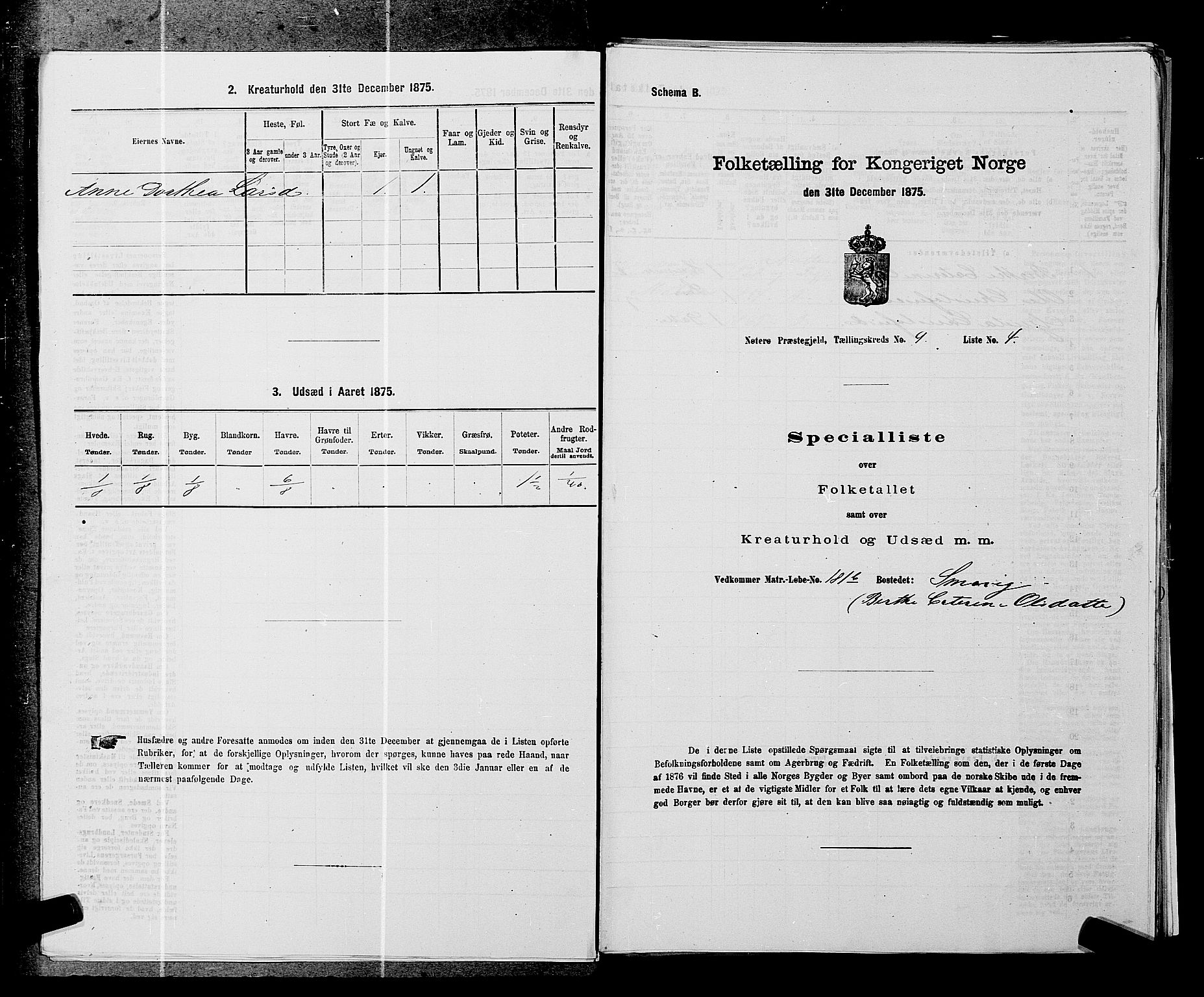 SAKO, 1875 census for 0722P Nøtterøy, 1875, p. 1741