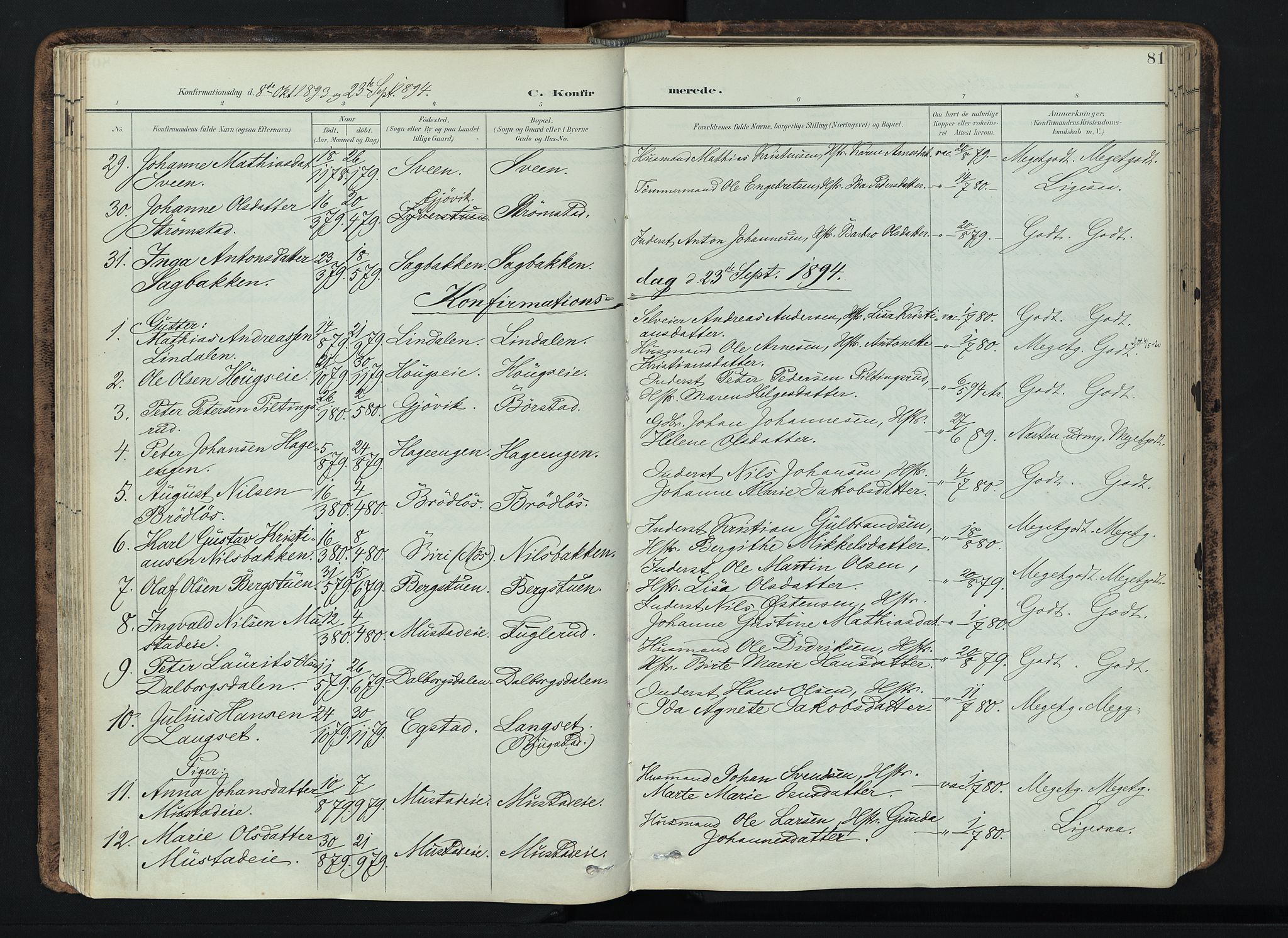 Vardal prestekontor, SAH/PREST-100/H/Ha/Haa/L0019: Parish register (official) no. 19, 1893-1907, p. 81