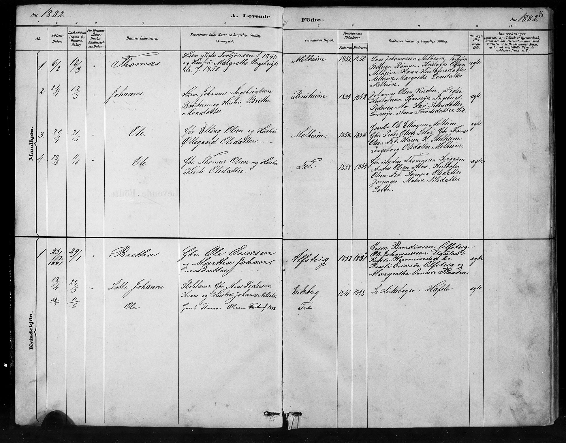 Jostedal sokneprestembete, SAB/A-80601/H/Hab/Habb/L0001: Parish register (copy) no. B 1, 1882-1921, p. 5
