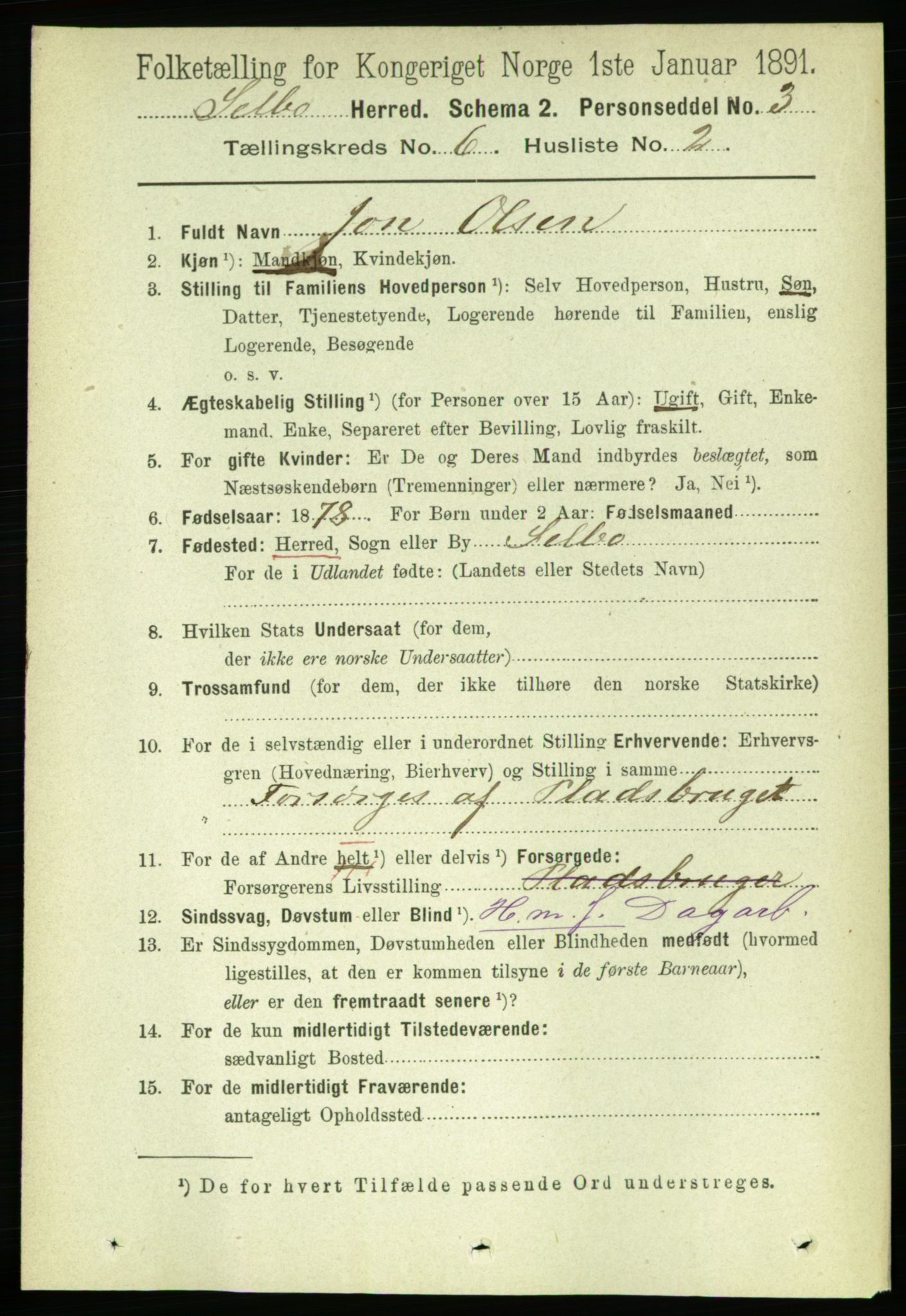 RA, 1891 census for 1664 Selbu, 1891, p. 2135