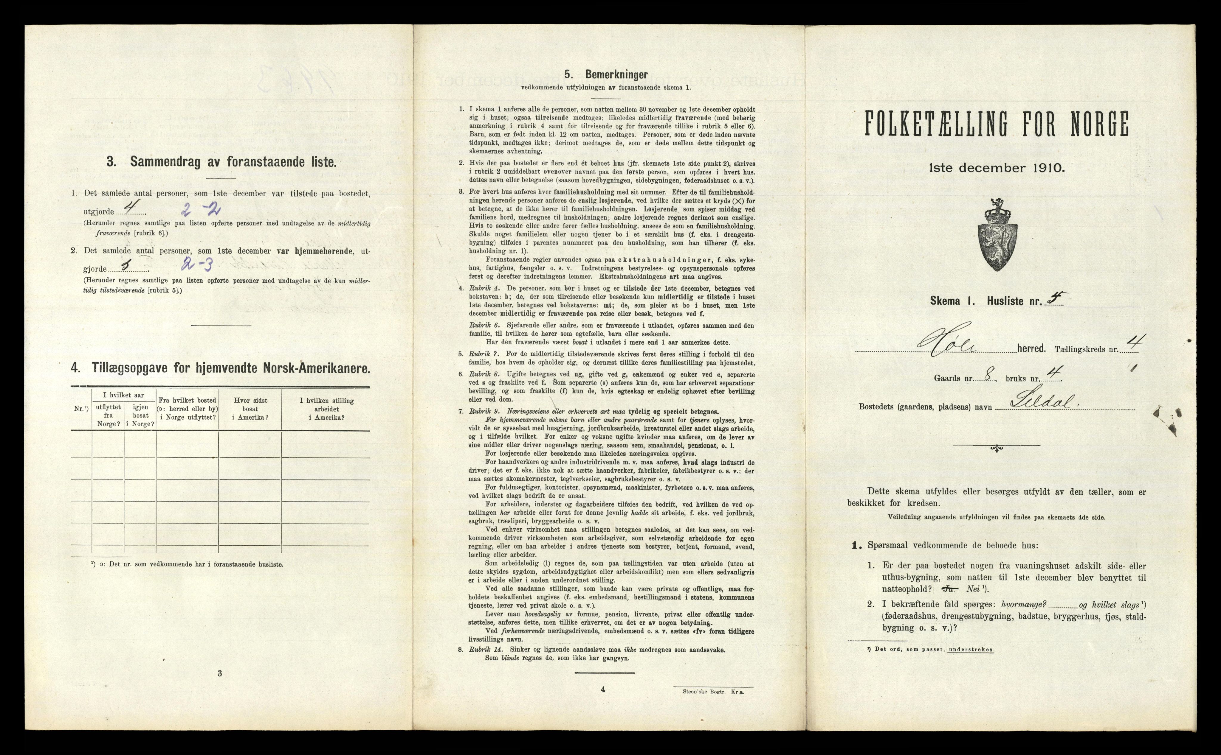 RA, 1910 census for Høle, 1910, p. 248