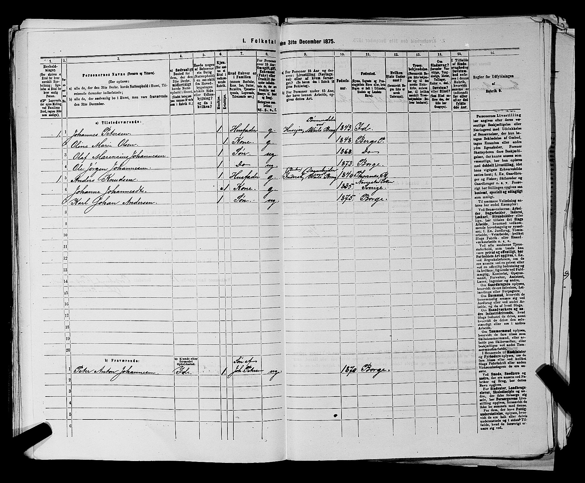 RA, 1875 census for 0113P Borge, 1875, p. 484