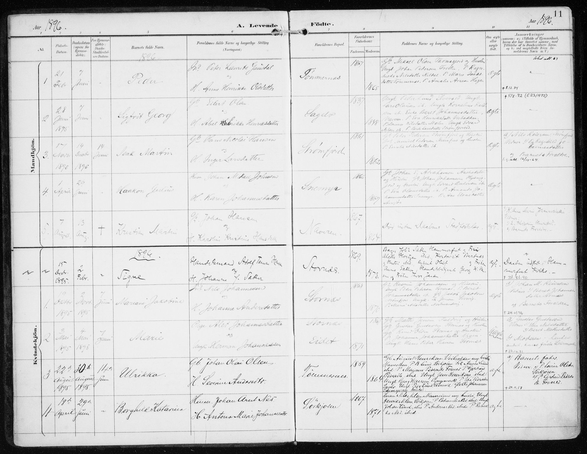 Skjervøy sokneprestkontor, SATØ/S-1300/H/Ha/Haa/L0017kirke: Parish register (official) no. 17, 1895-1911, p. 11
