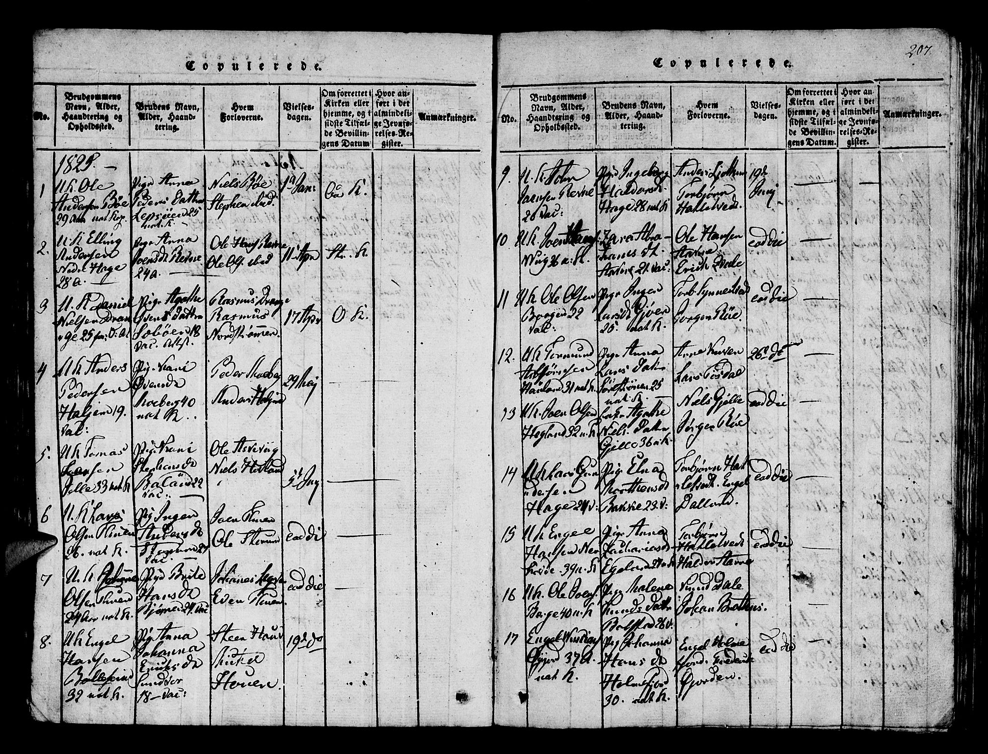 Os sokneprestembete, SAB/A-99929: Parish register (official) no. A 12, 1816-1825, p. 207