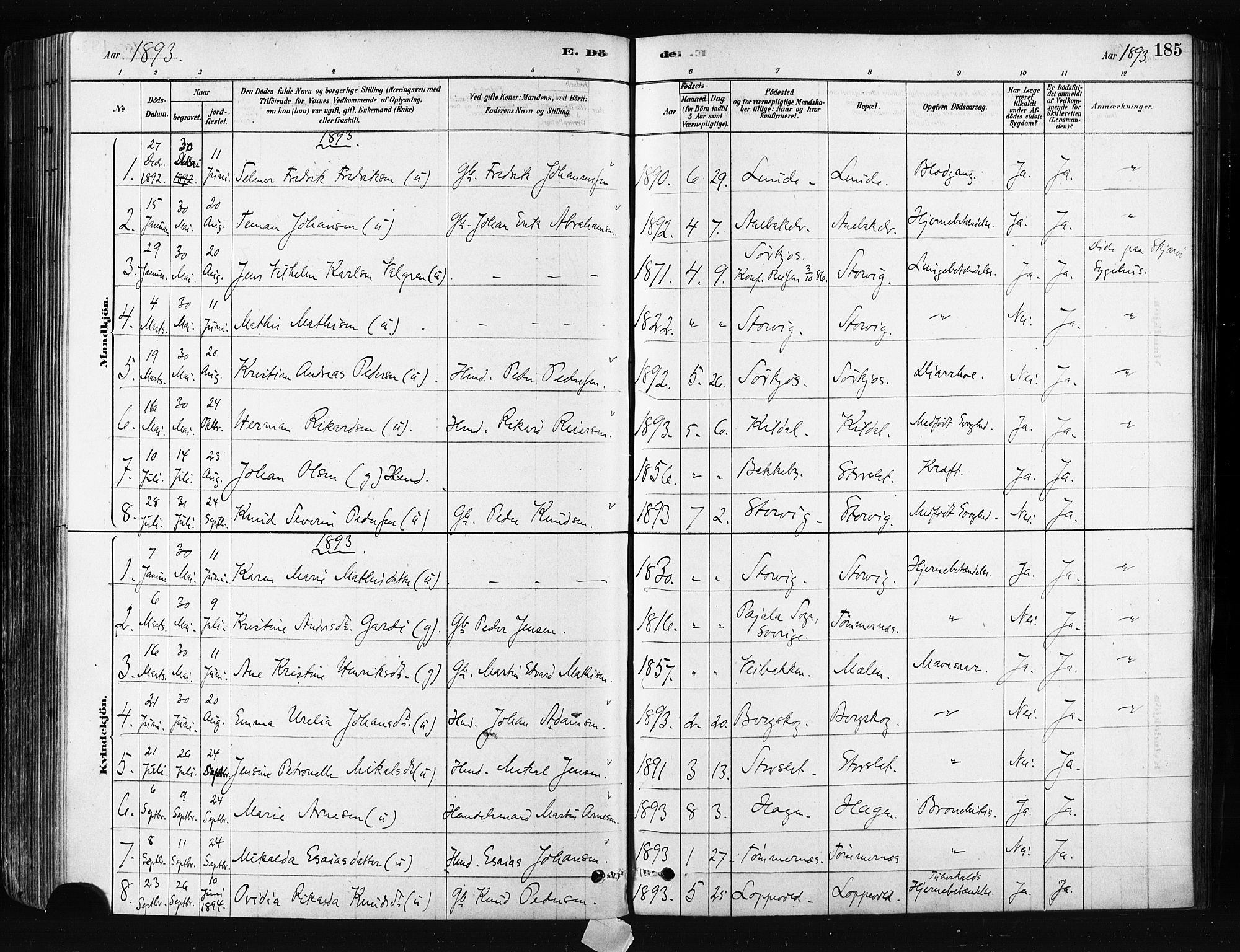 Skjervøy sokneprestkontor, SATØ/S-1300/H/Ha/Haa/L0014kirke: Parish register (official) no. 14, 1878-1894, p. 185