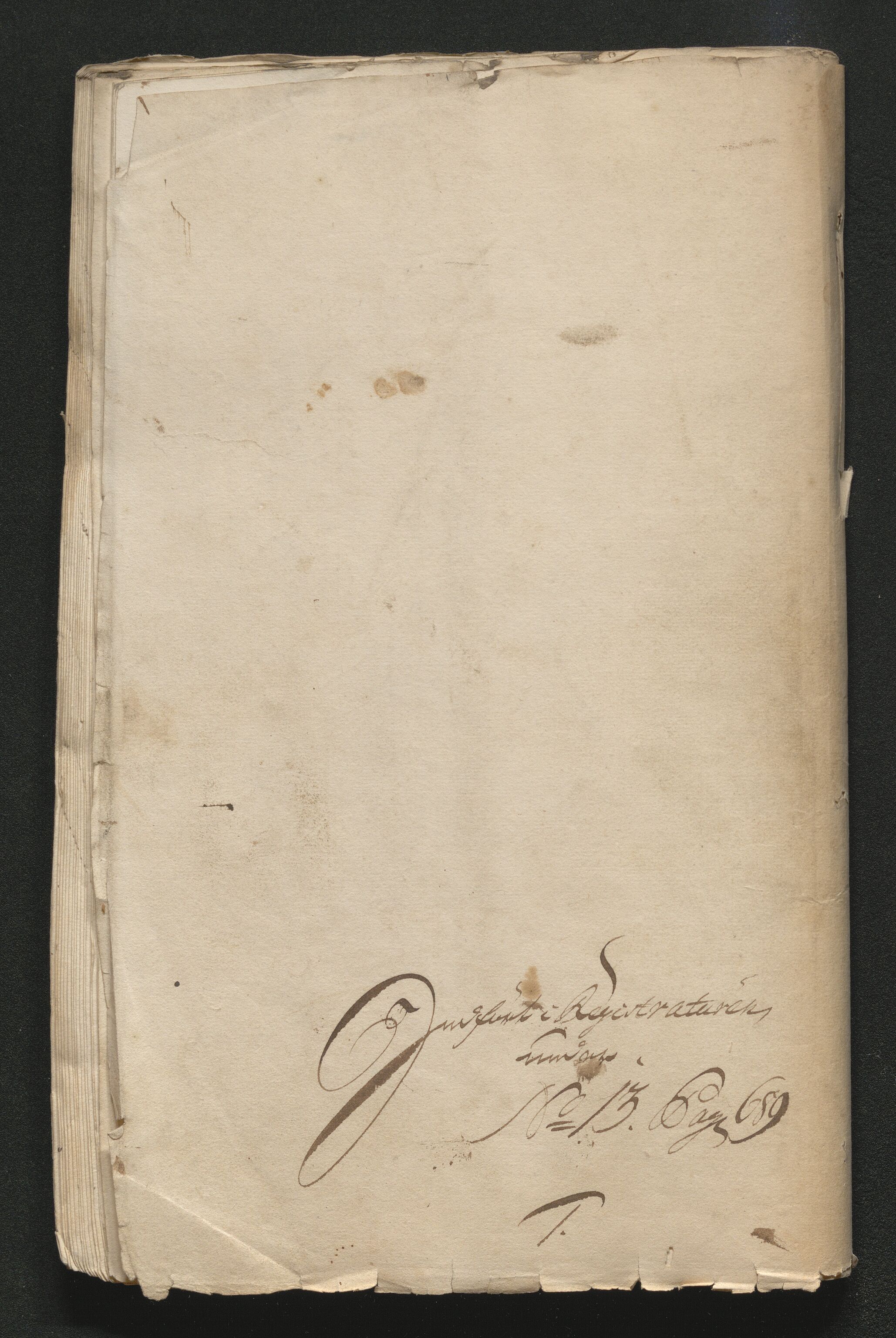 Larvik grevskap, AV/SAKO-A-1056/F/Ff/Ffa/L0001: Ruller og manntall, 1708-1734, p. 69