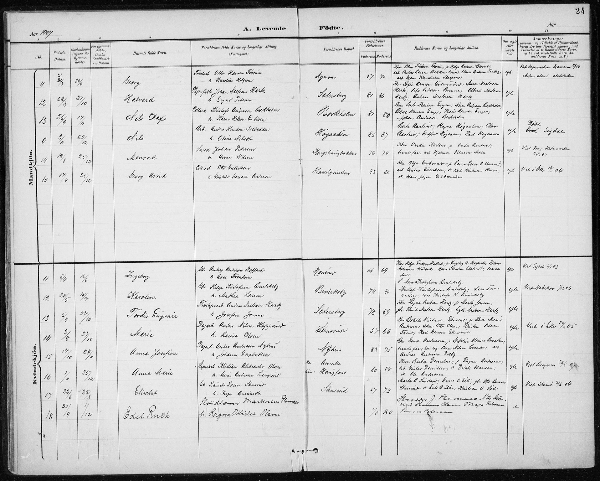 Modum kirkebøker, AV/SAKO-A-234/F/Fa/L0017: Parish register (official) no. 17, 1900-1915, p. 24