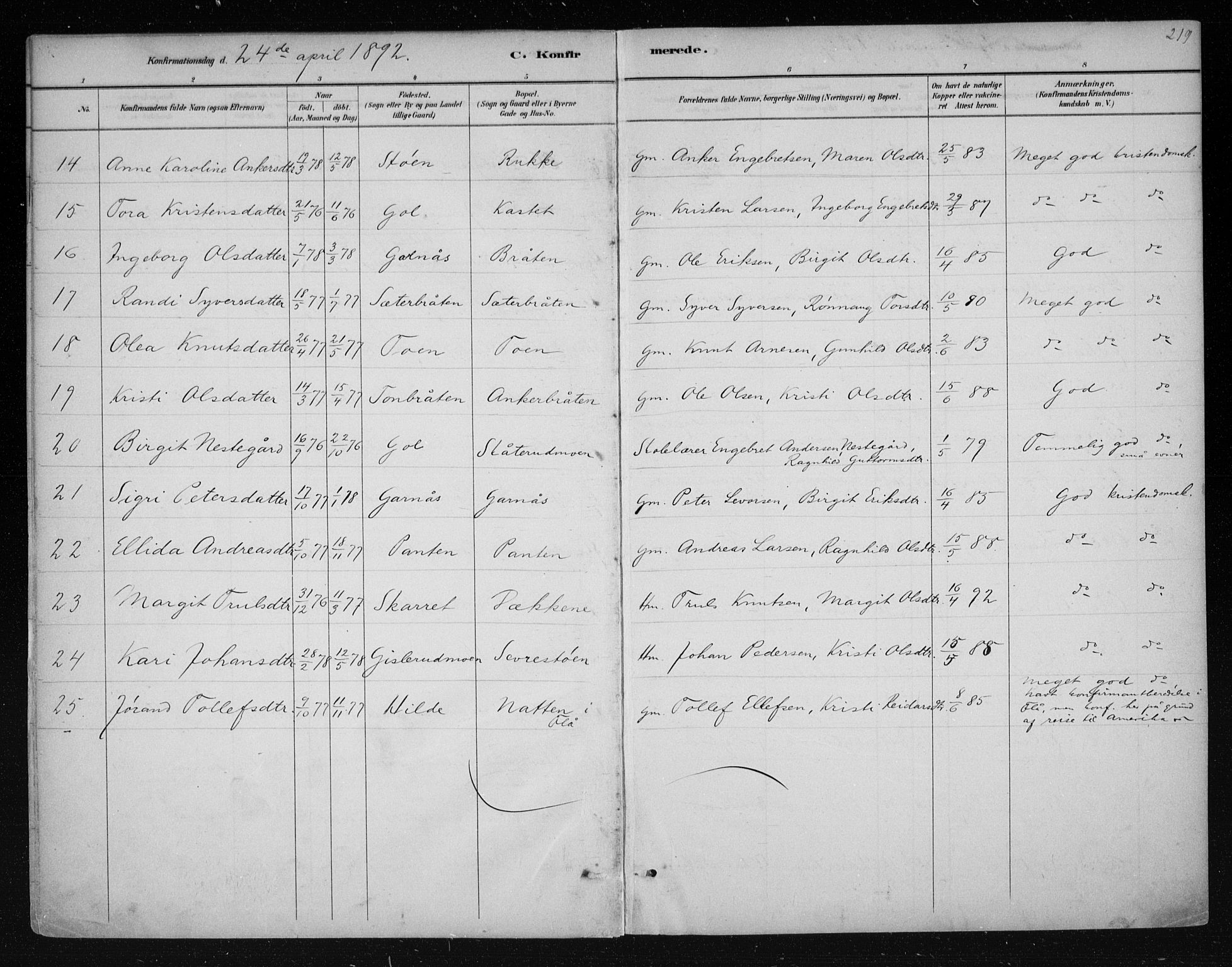 Nes kirkebøker, AV/SAKO-A-236/F/Fa/L0011: Parish register (official) no. 11, 1881-1912, p. 219