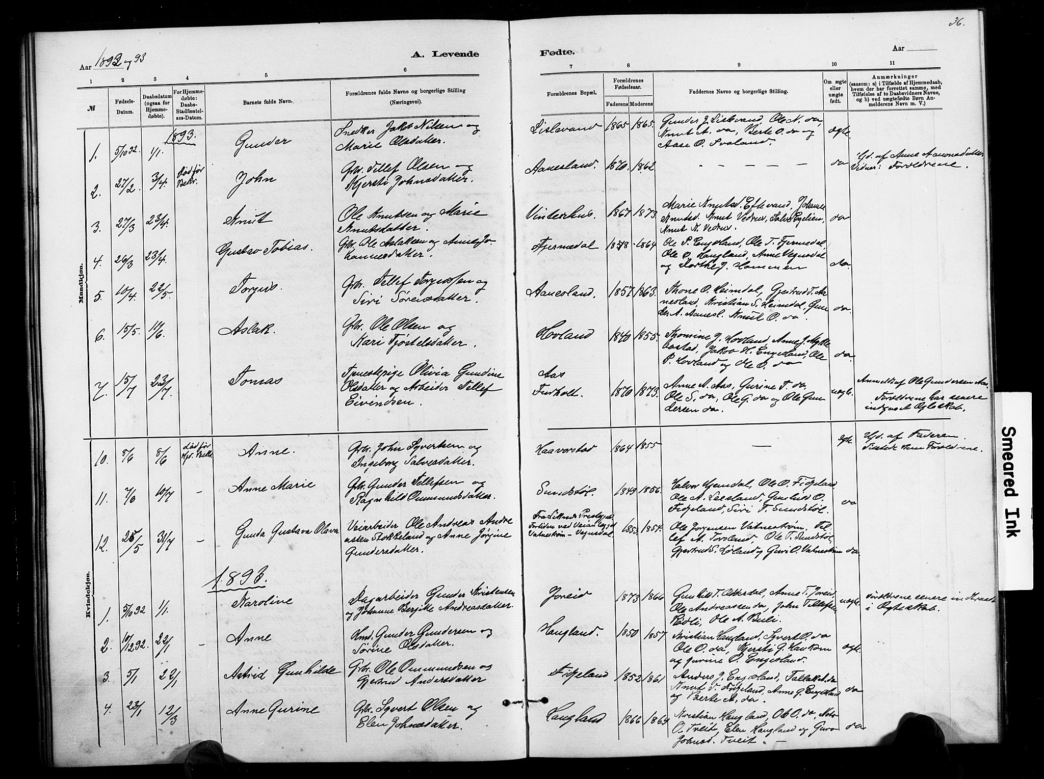Herefoss sokneprestkontor, SAK/1111-0019/F/Fb/Fbb/L0002: Parish register (copy) no. B 2, 1879-1894, p. 36