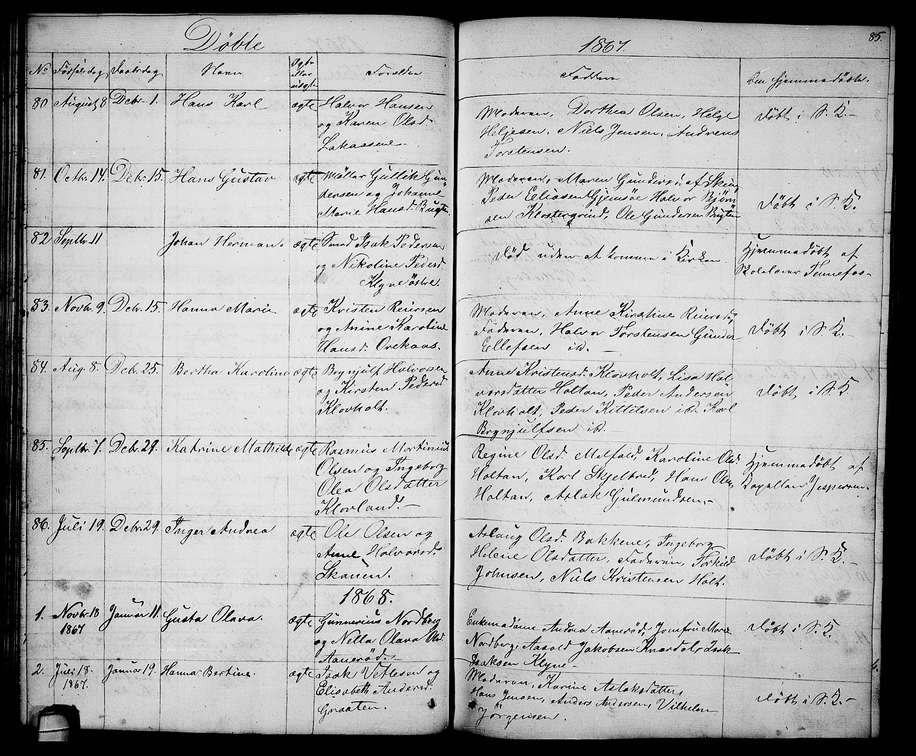 Solum kirkebøker, SAKO/A-306/G/Ga/L0004: Parish register (copy) no. I 4, 1859-1876, p. 85