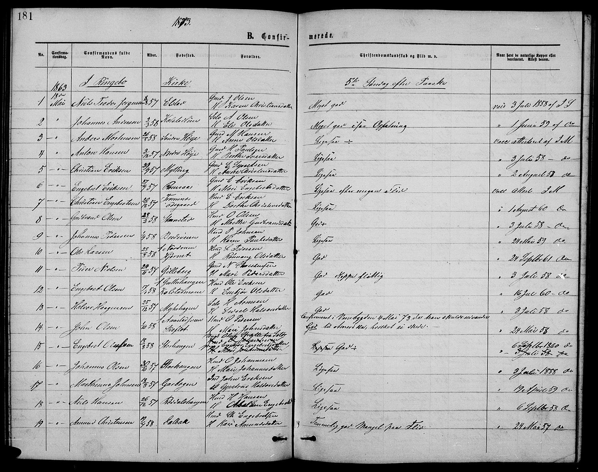 Ringebu prestekontor, AV/SAH-PREST-082/H/Ha/Hab/L0004: Parish register (copy) no. 4, 1867-1879, p. 181