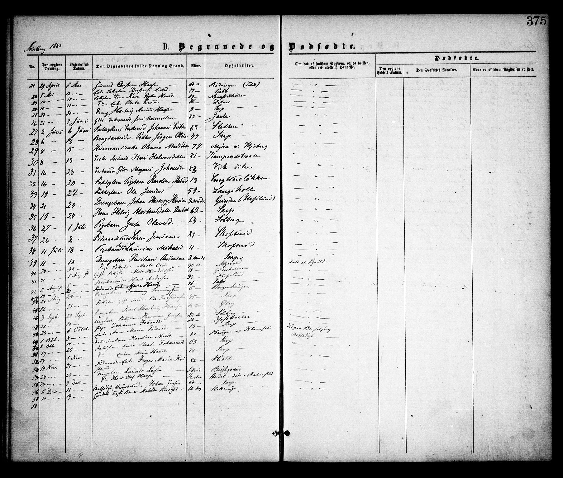 Skjeberg prestekontor Kirkebøker, SAO/A-10923/F/Fa/L0008: Parish register (official) no. I 8, 1869-1885, p. 375