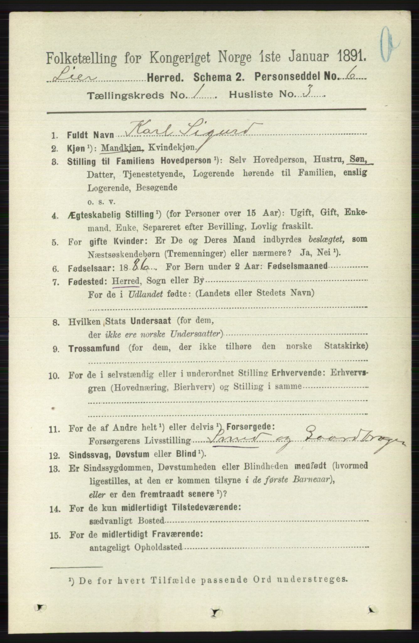 RA, 1891 census for 0626 Lier, 1891, p. 196