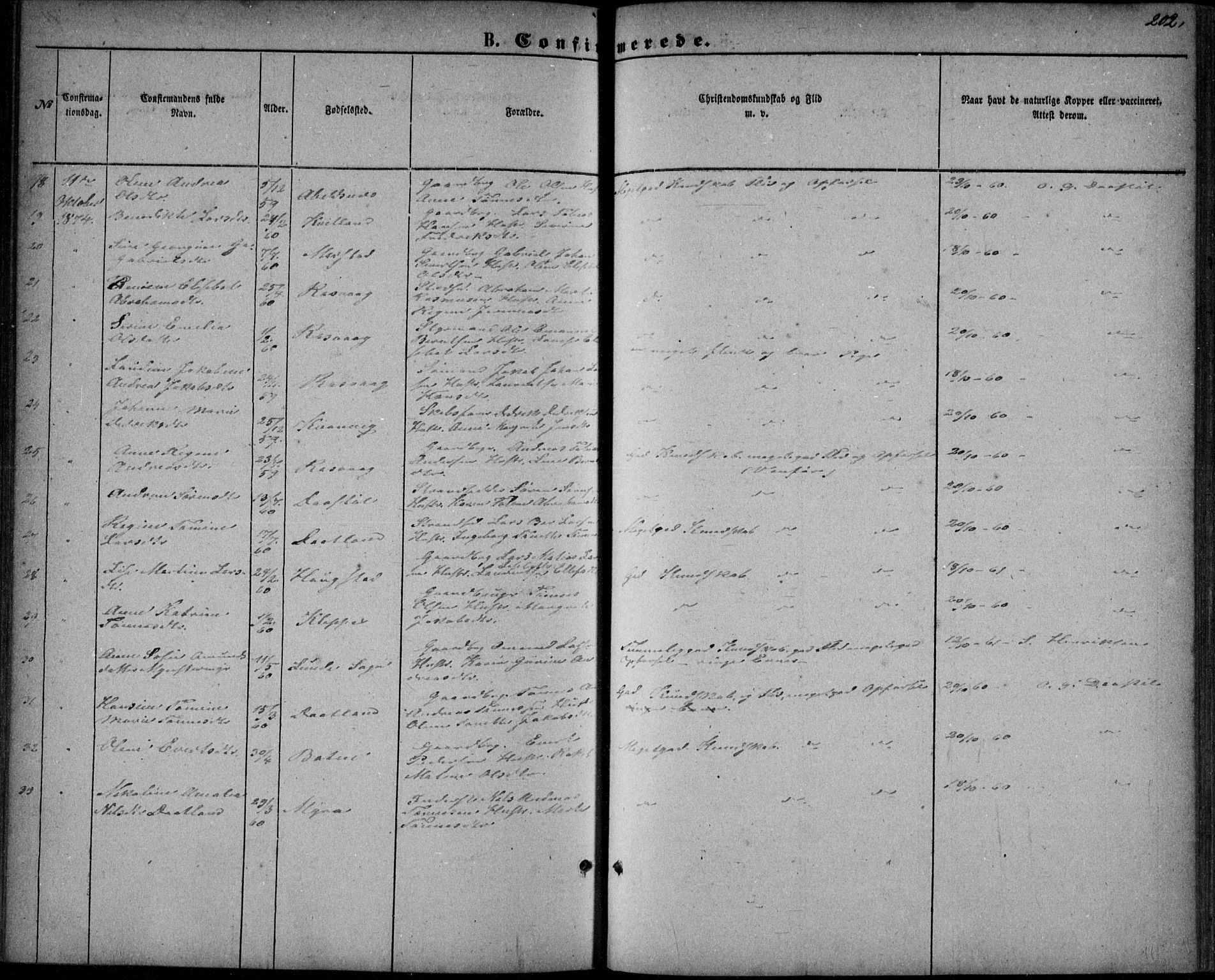 Flekkefjord sokneprestkontor, AV/SAK-1111-0012/F/Fb/Fbb/L0003: Parish register (copy) no. B 3, 1867-1889, p. 202