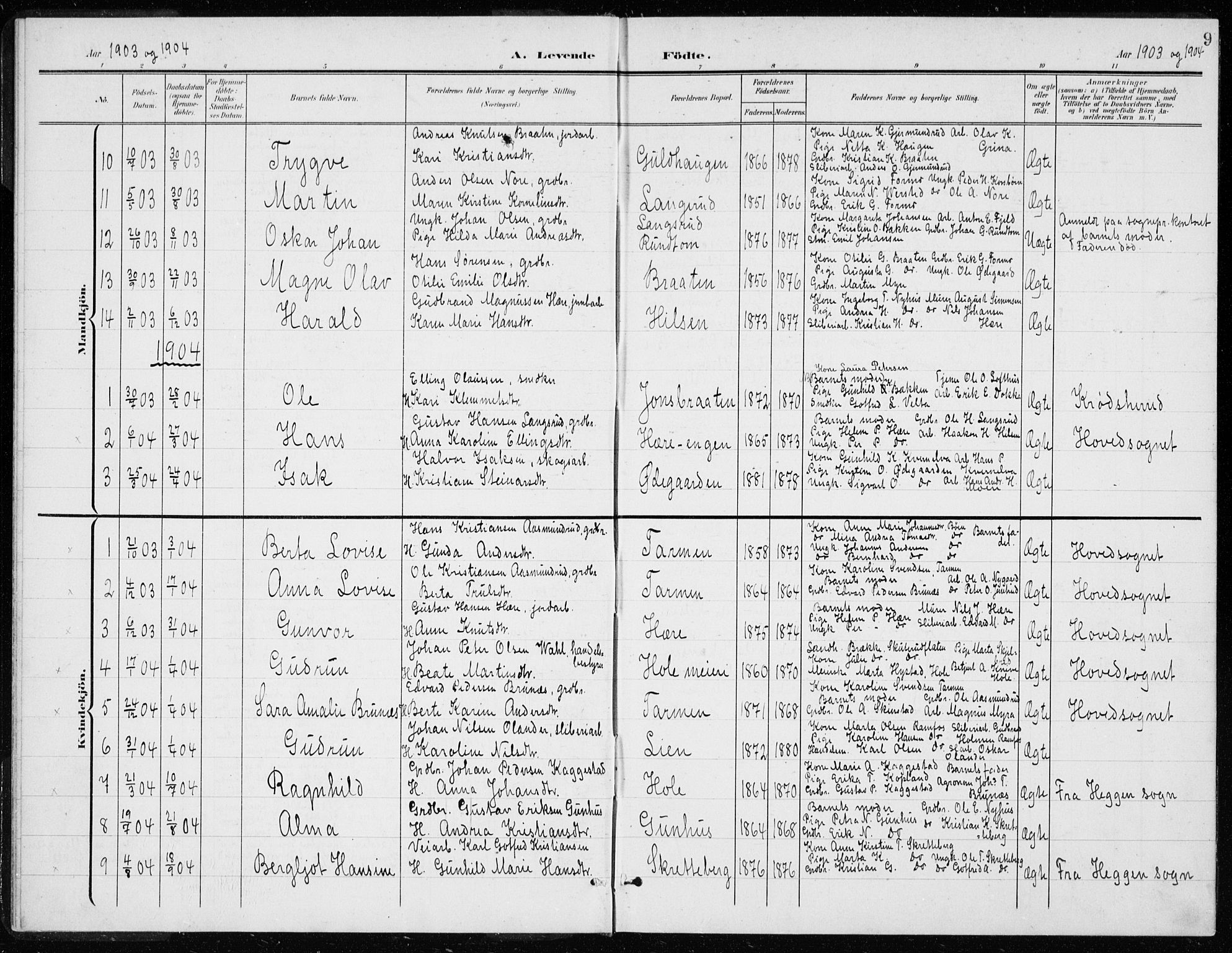 Modum kirkebøker, AV/SAKO-A-234/G/Gd/L0001: Parish register (copy) no. IV 1, 1901-1921, p. 9