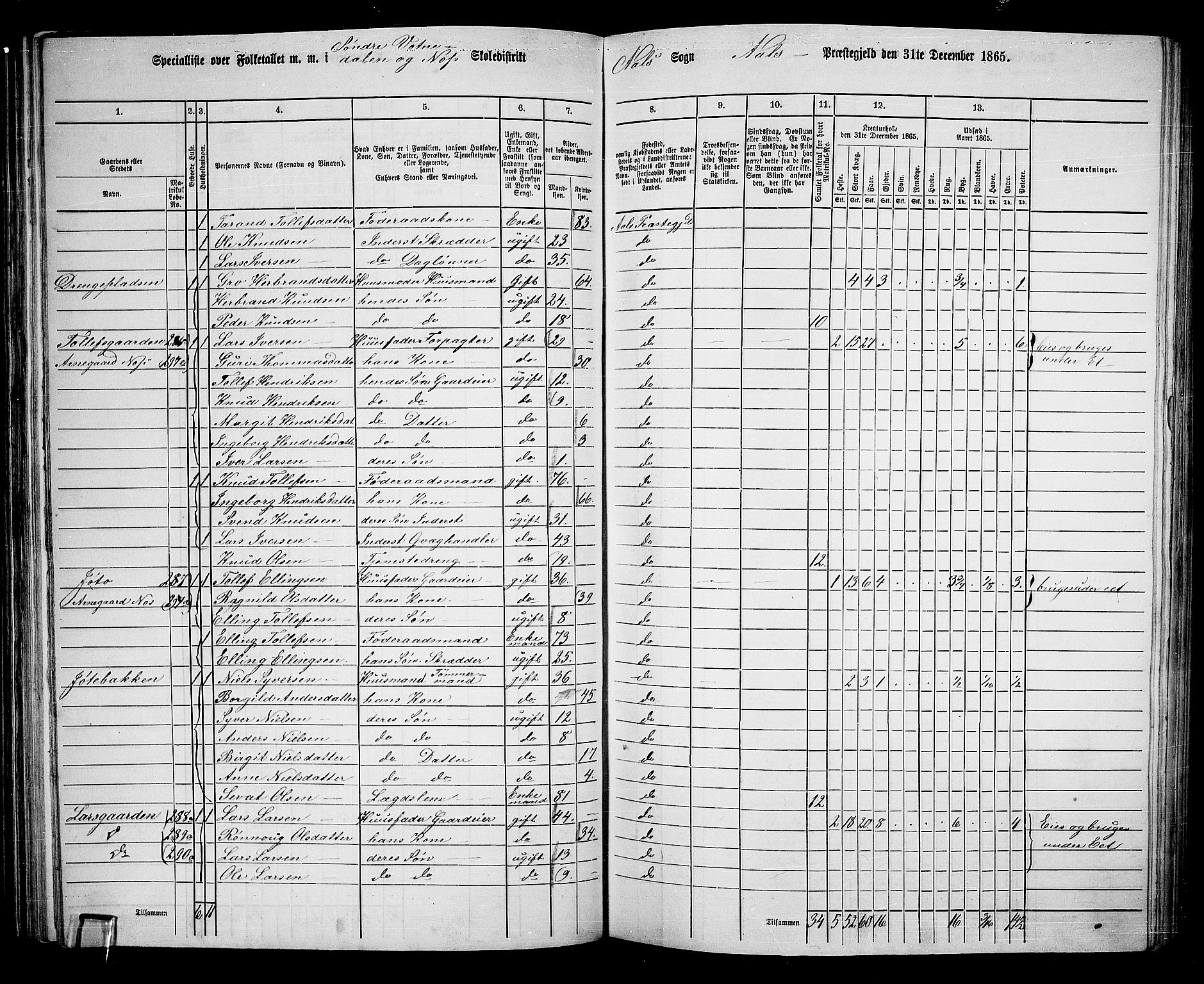 RA, 1865 census for Ål, 1865, p. 81