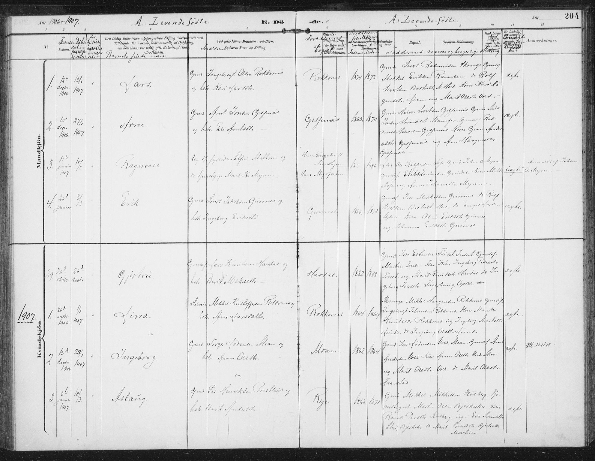 Ministerialprotokoller, klokkerbøker og fødselsregistre - Sør-Trøndelag, SAT/A-1456/674/L0872: Parish register (official) no. 674A04, 1897-1907, p. 204