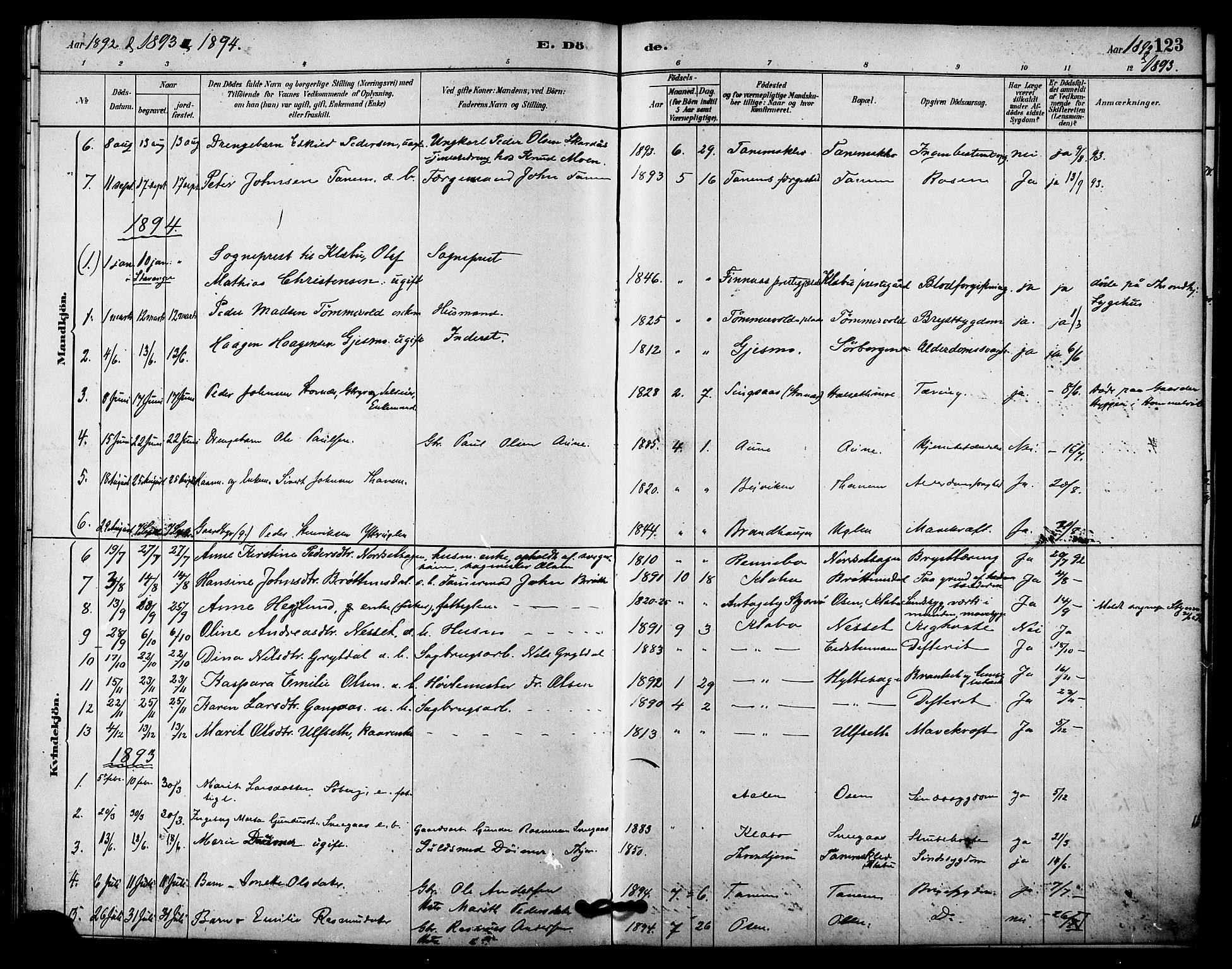 Ministerialprotokoller, klokkerbøker og fødselsregistre - Sør-Trøndelag, AV/SAT-A-1456/618/L0444: Parish register (official) no. 618A07, 1880-1898, p. 123